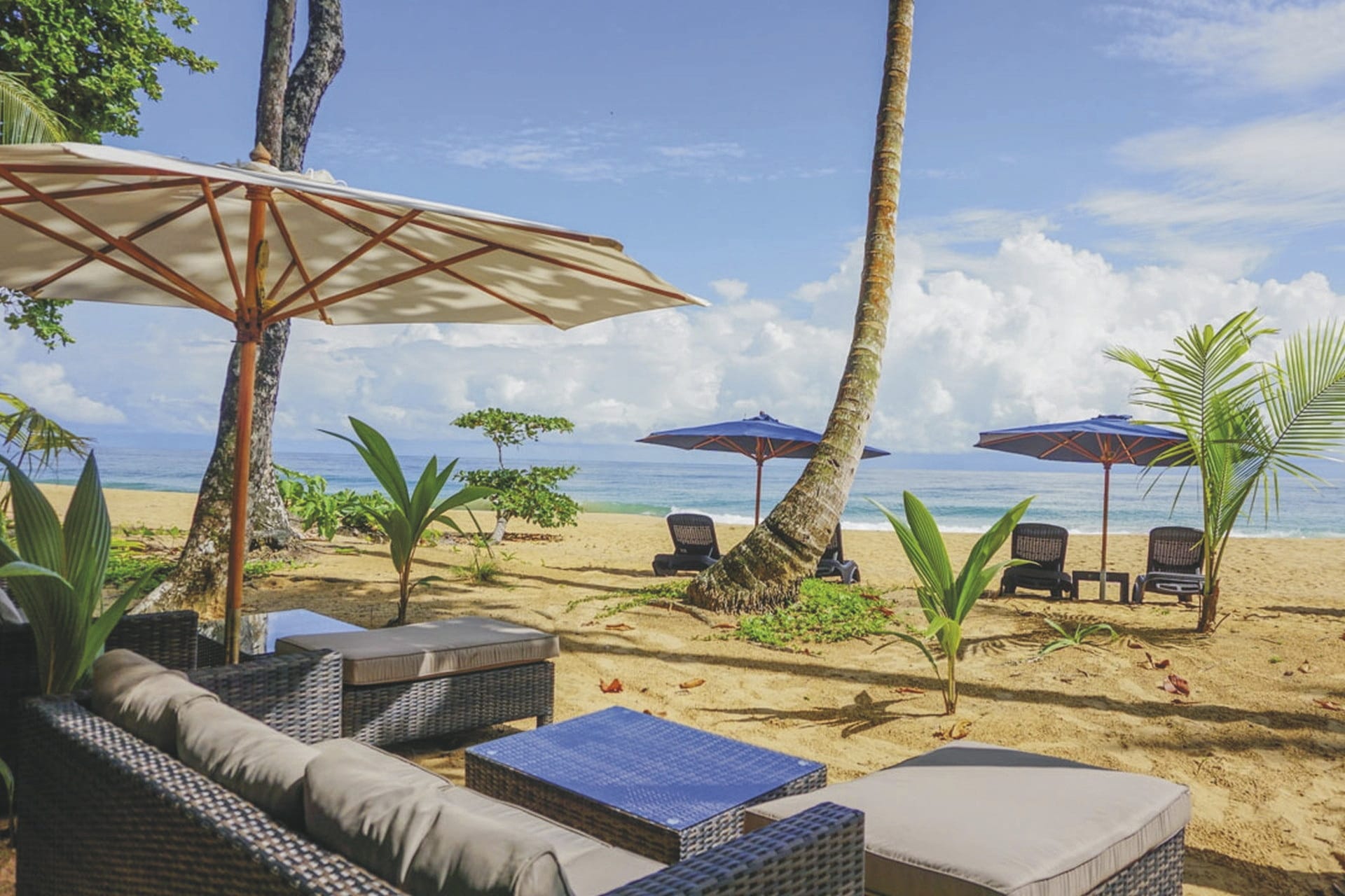 MIT_PAN_20250527_HG_2