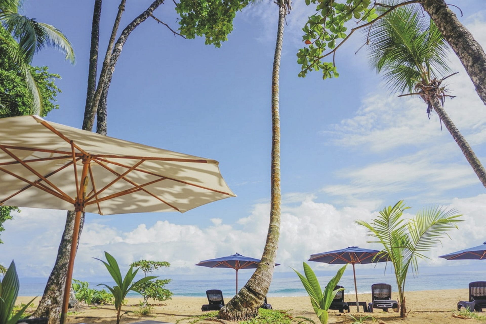 MIT_PAN_20250527_HG_4