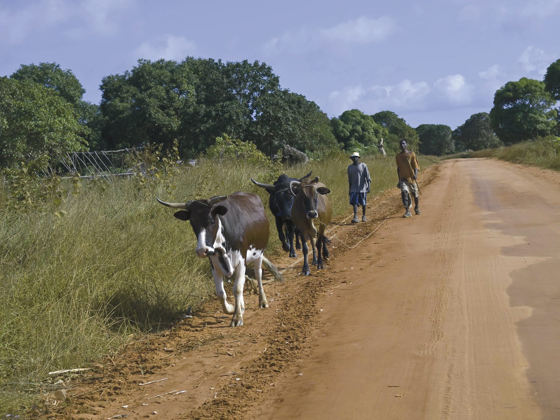 MOZ_REG_024_20091201_IVB