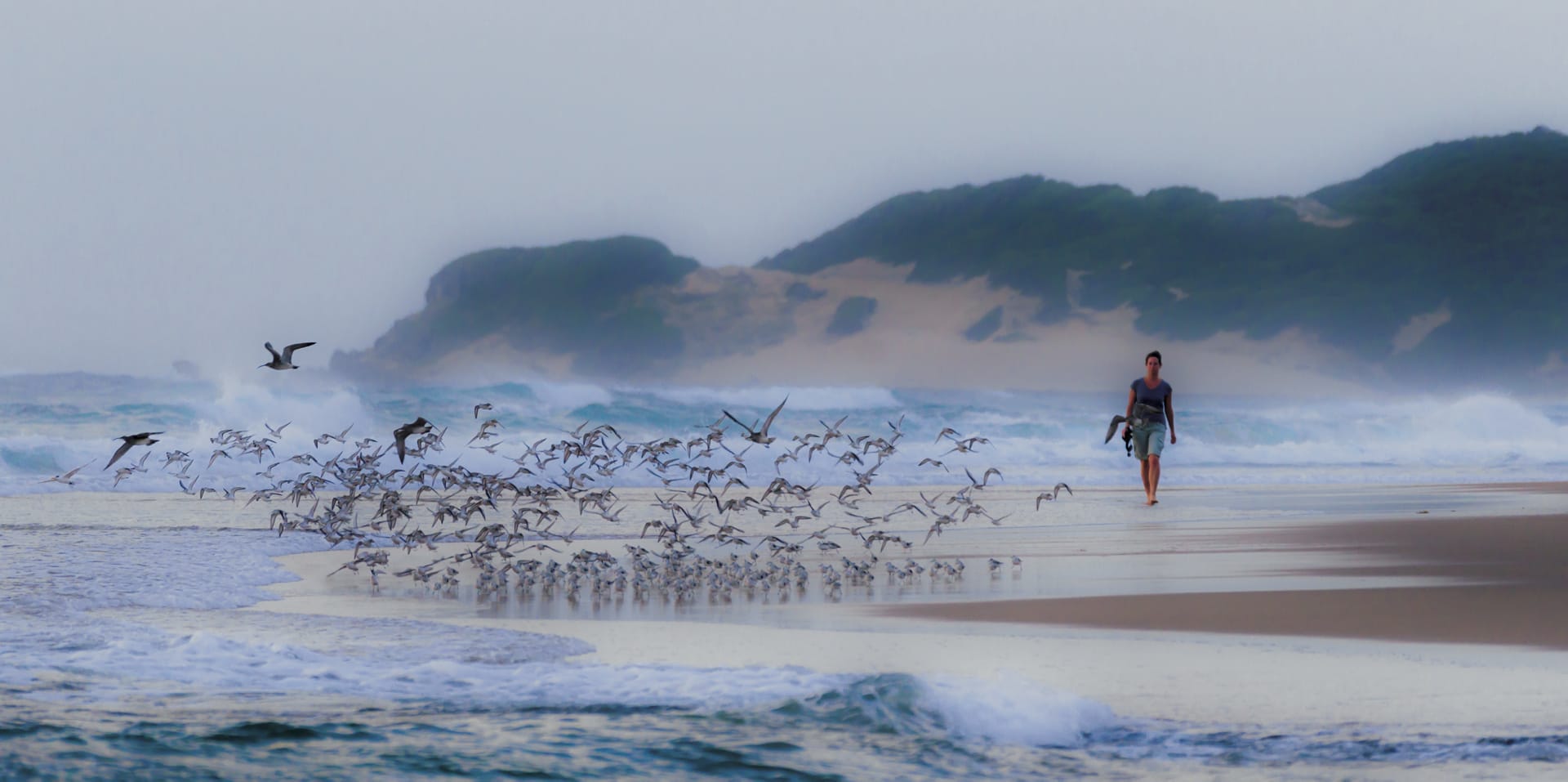 MOZ_REG_069_20160517_ss