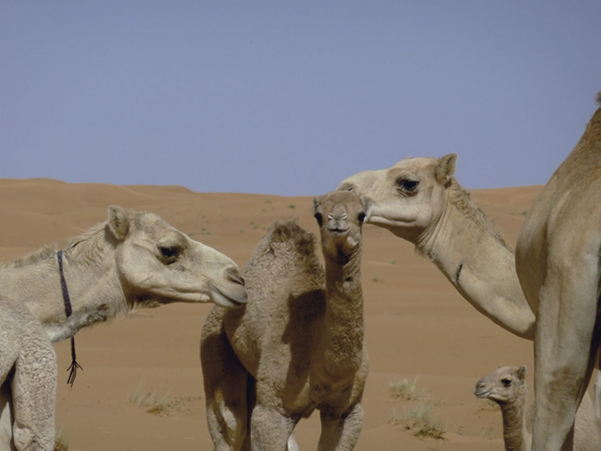 NAH_OM_008_20140207_KA