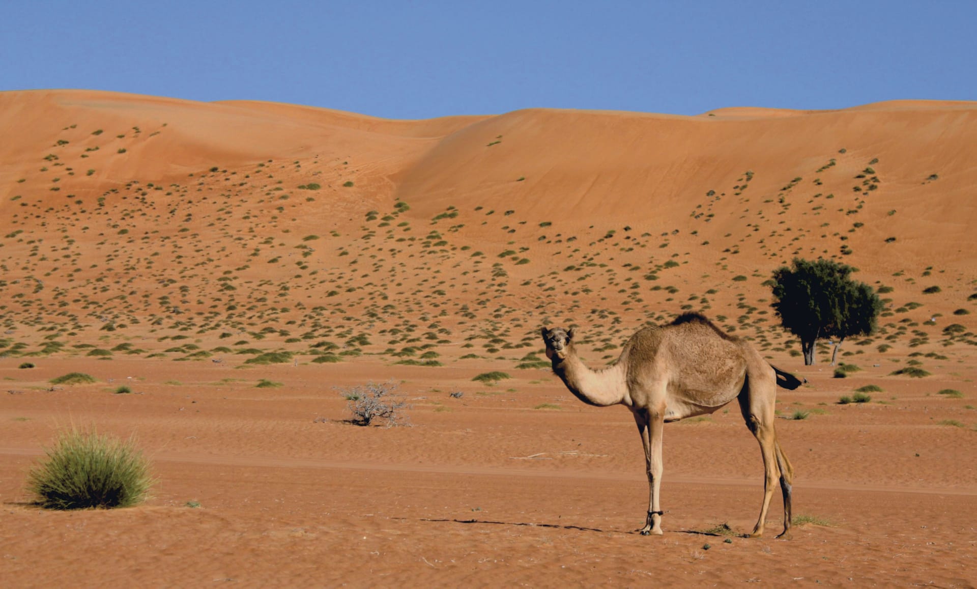 NAH_OM_010_20140730_KA