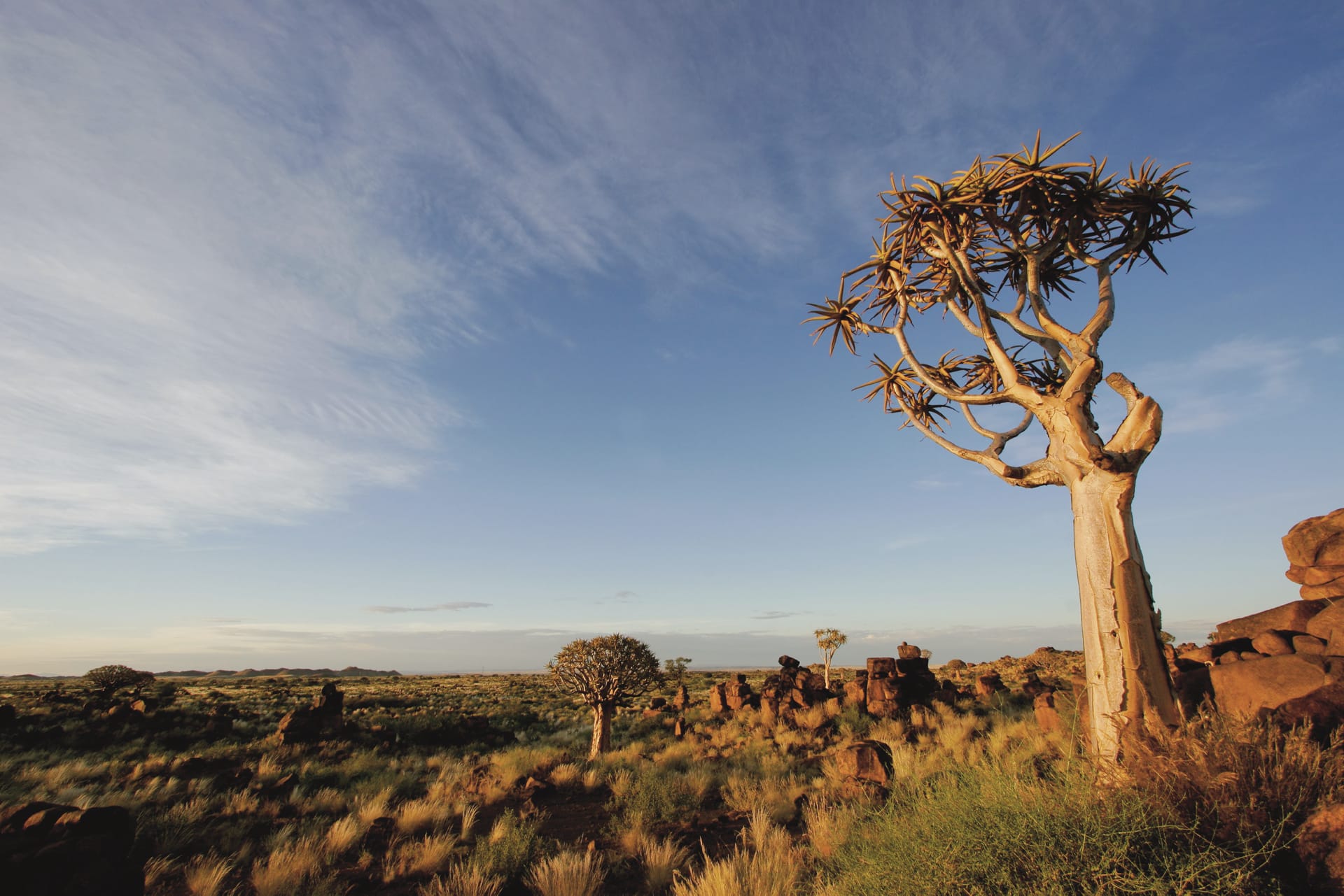 NA_DIV_001_20170508_ss