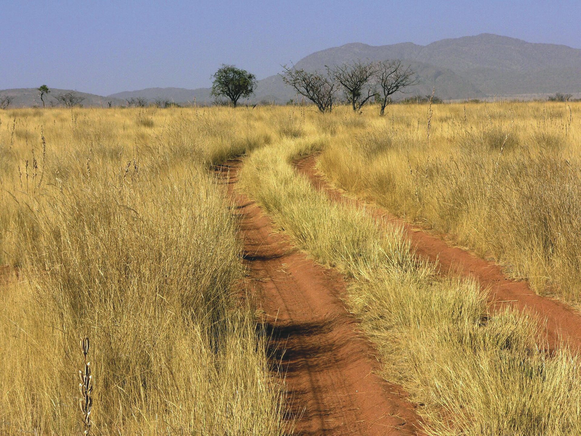 NA_DIV_043_20071112_SS