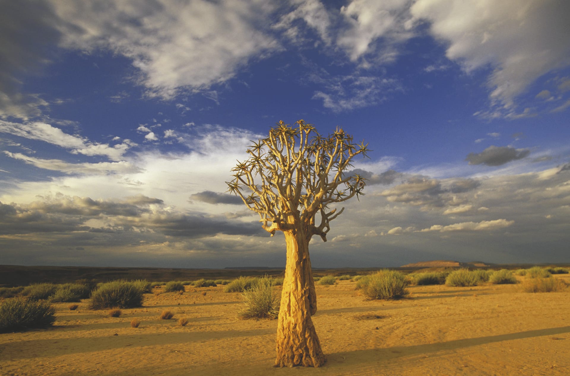 NA_DIV_146_20070911_MM