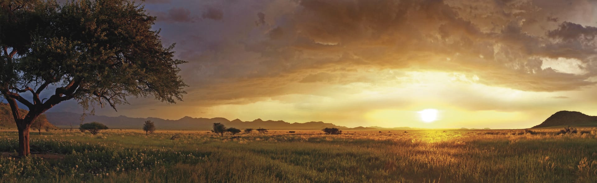 NA_REG_001_20130811_AD