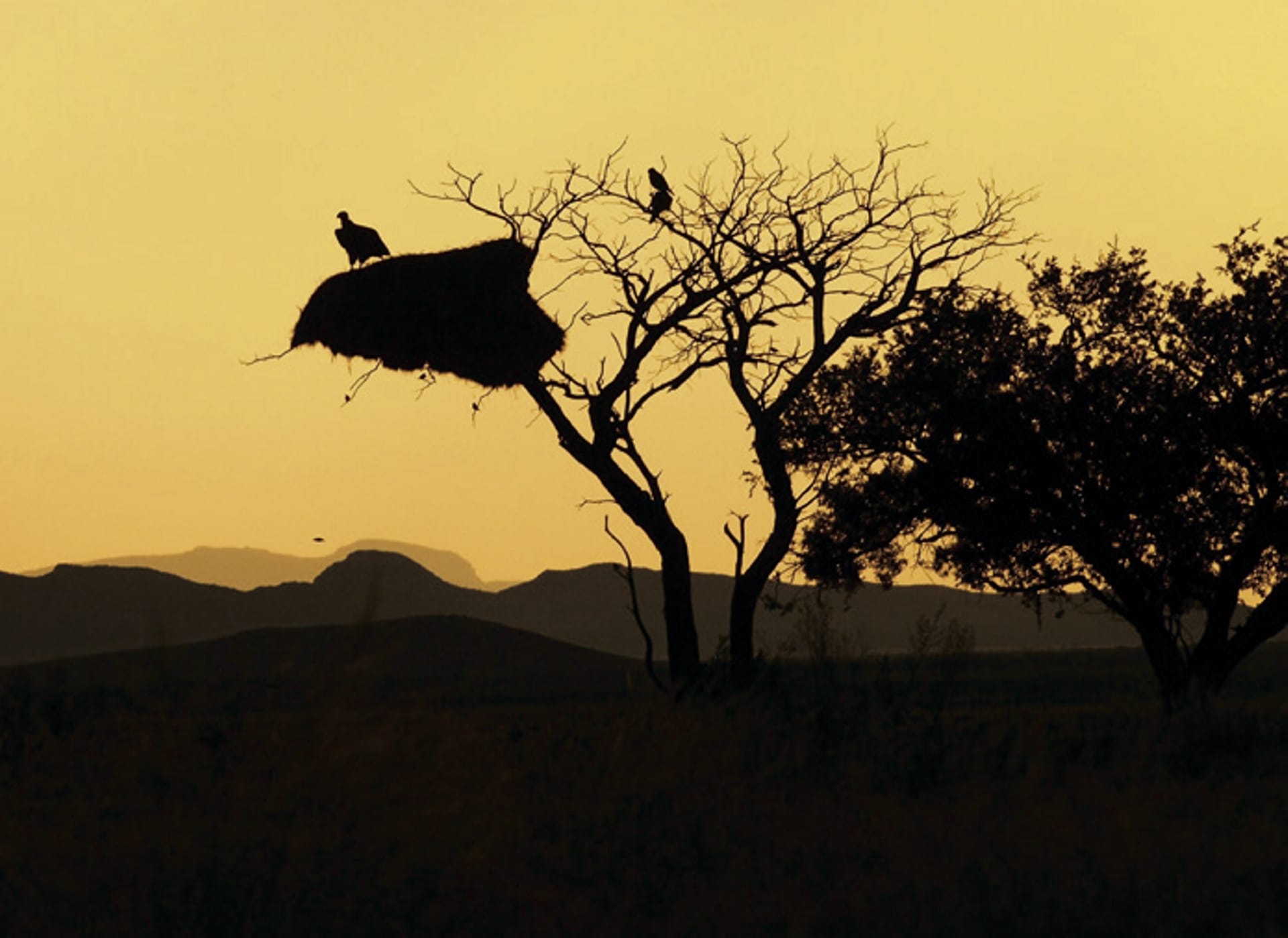 NA_REG_002_20130905_AD