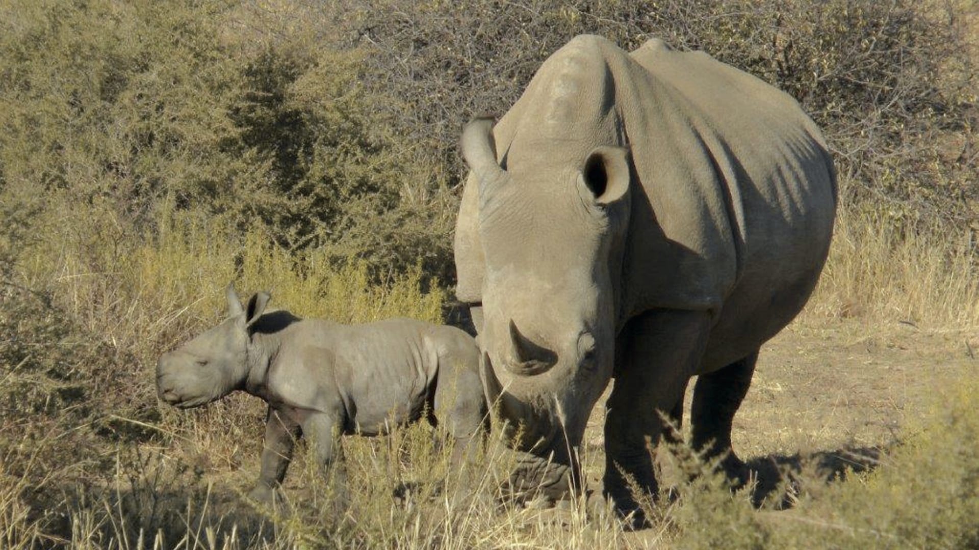 NA_REG_002_20170718_AD