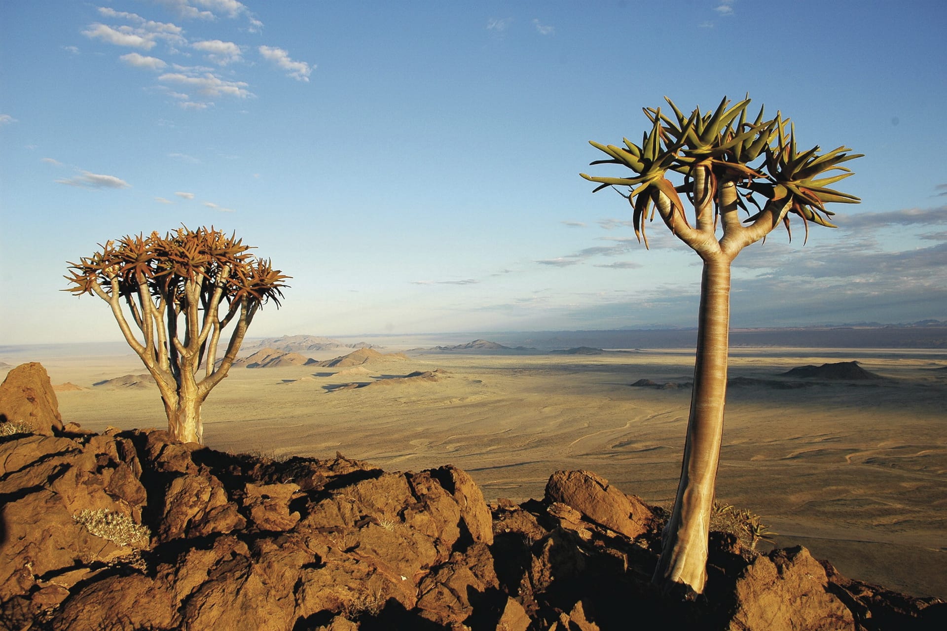 NA_REG_003_20130729_AD