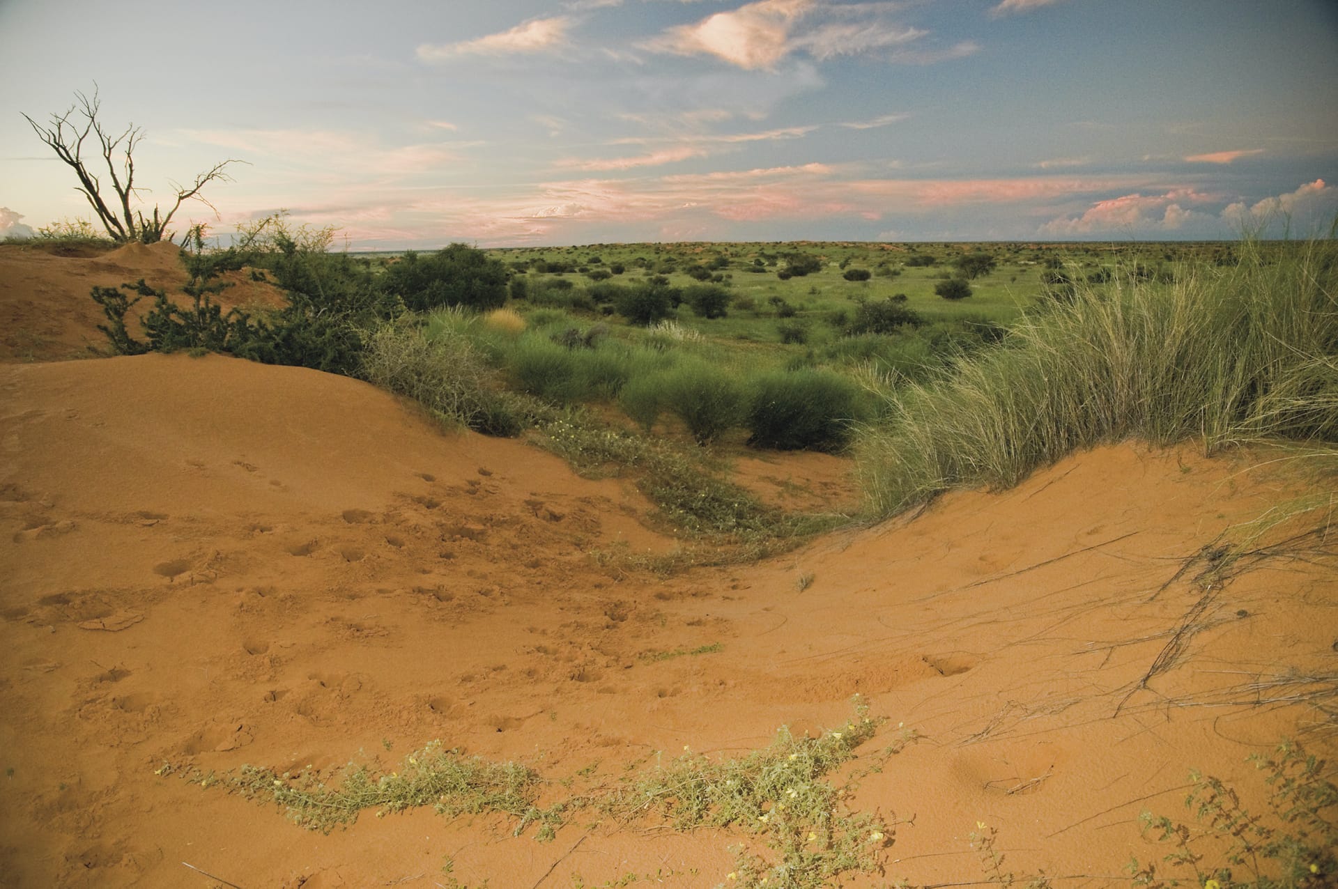 NA_REG_004_20140808_AD