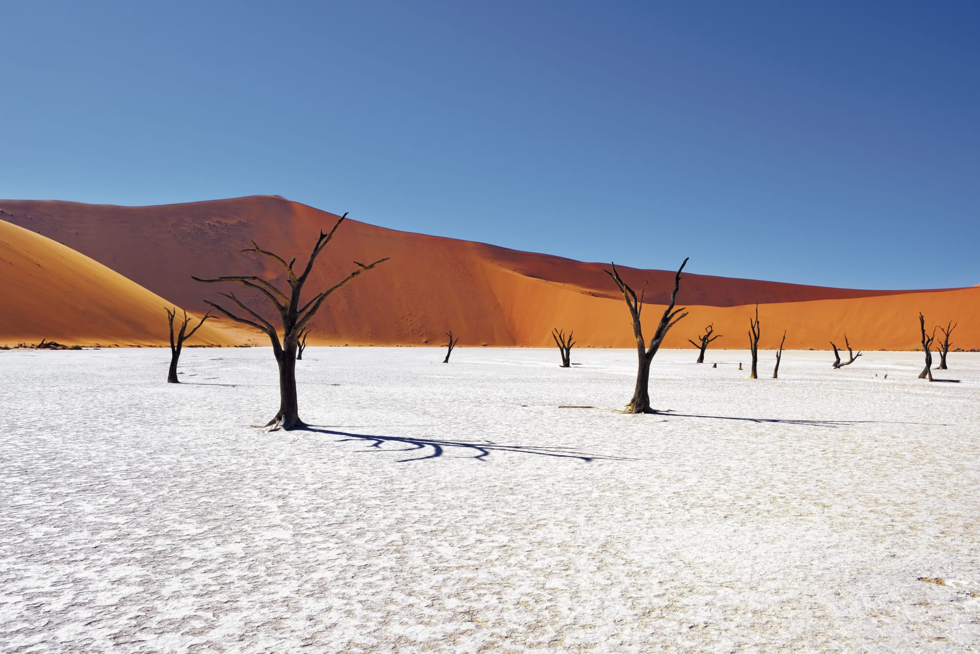 NA_REG_005_20170523_ss