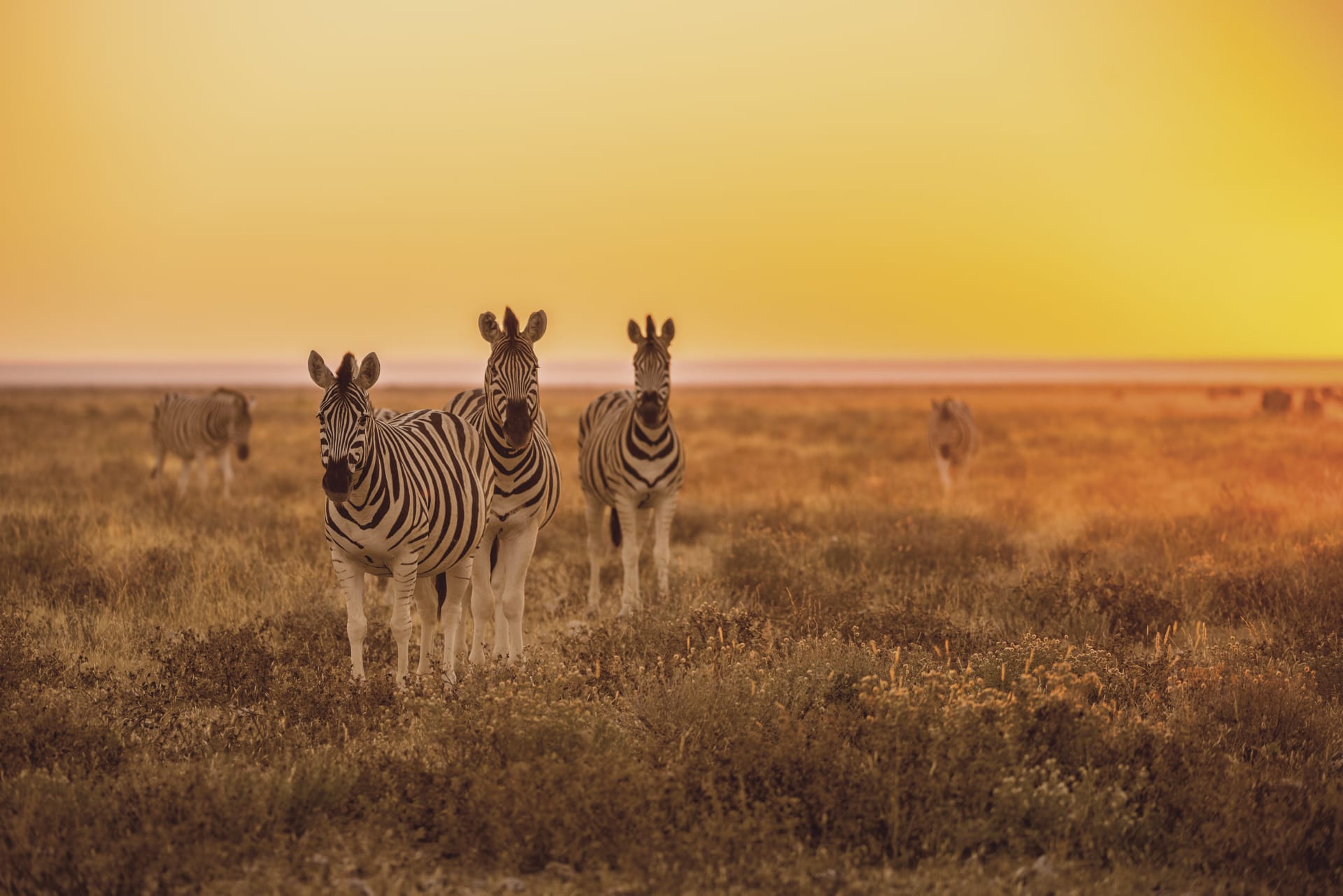 NA_REG_007_20160902_ss