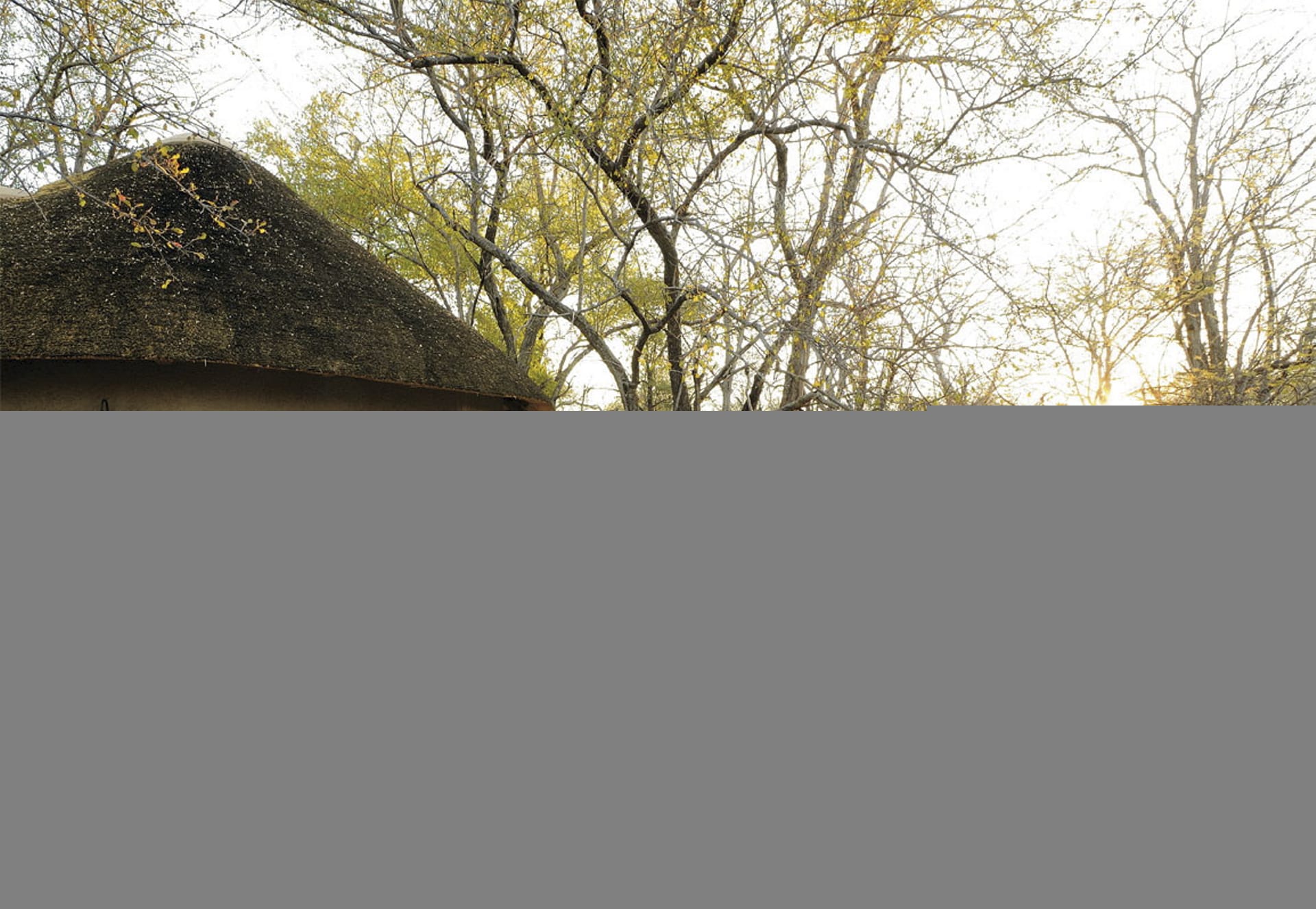 NA_REG_011_20130719_