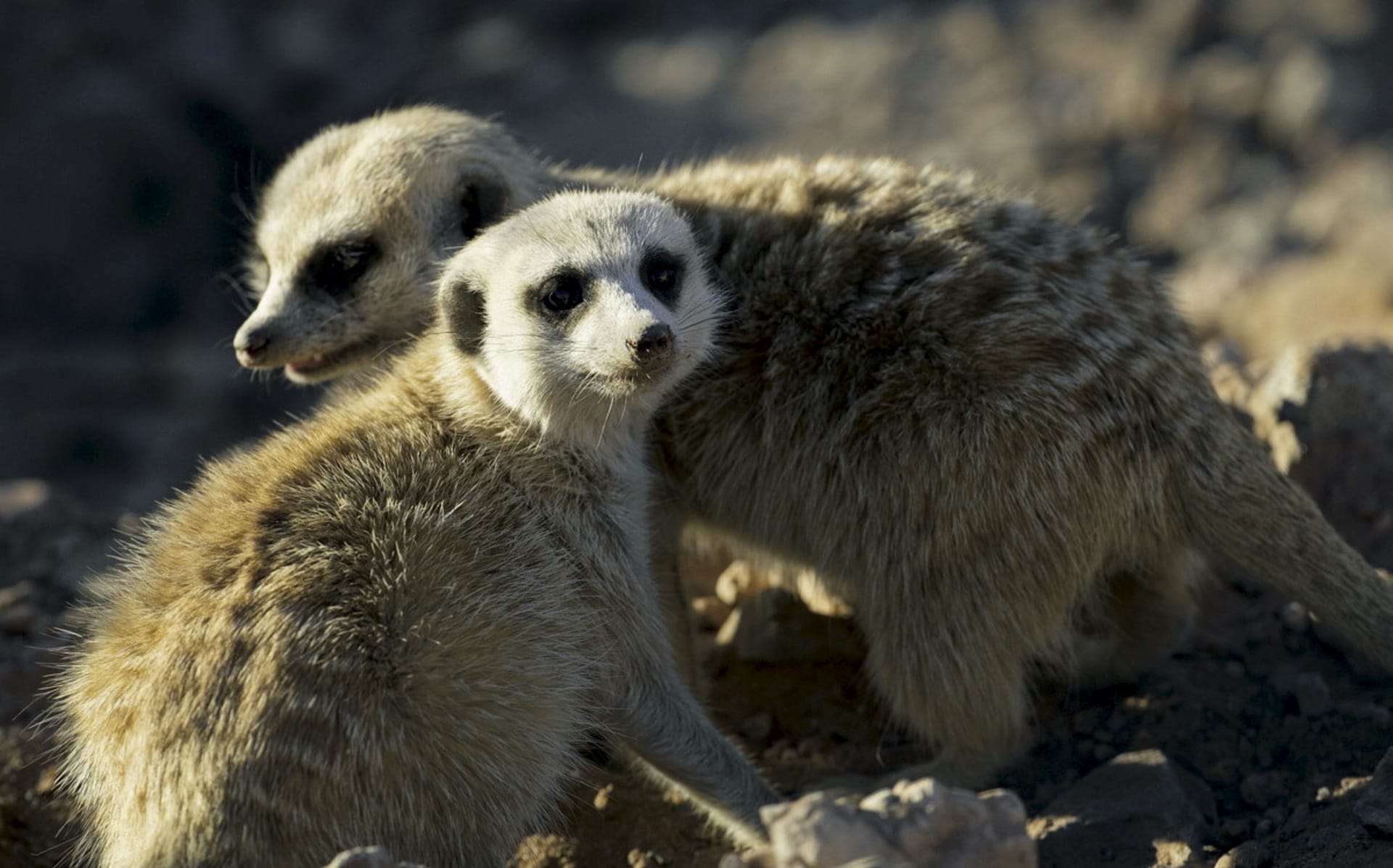 NA_REG_100_20160706_ss