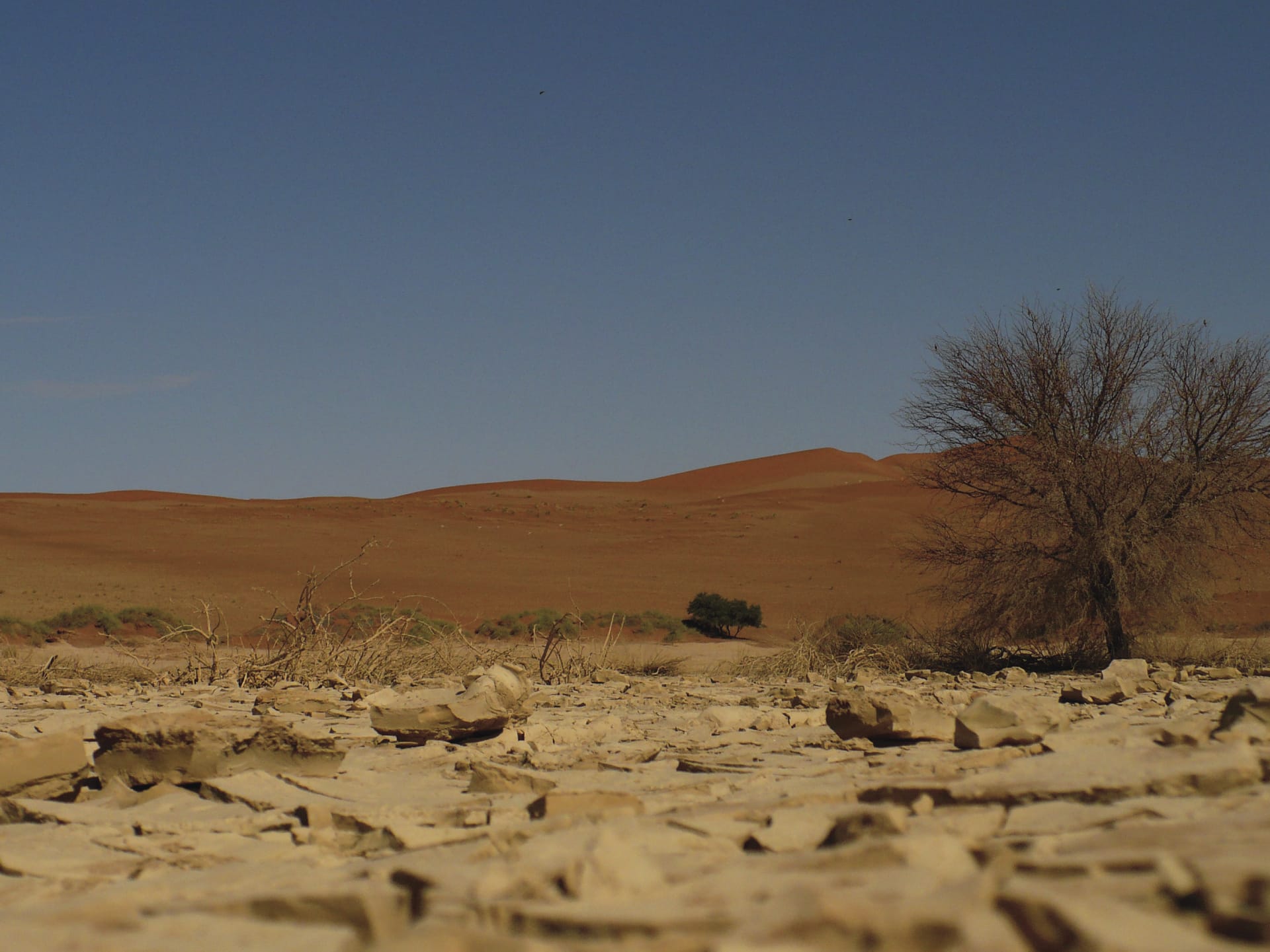 NA_REG_1058_20120726_AD