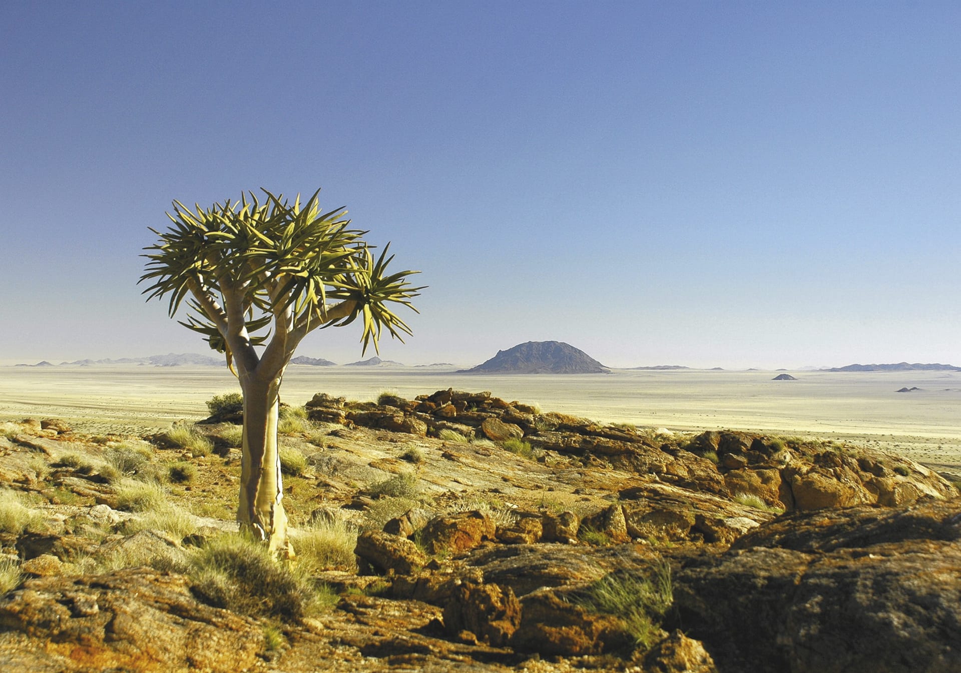 NA_REG_1137_20090320_SS