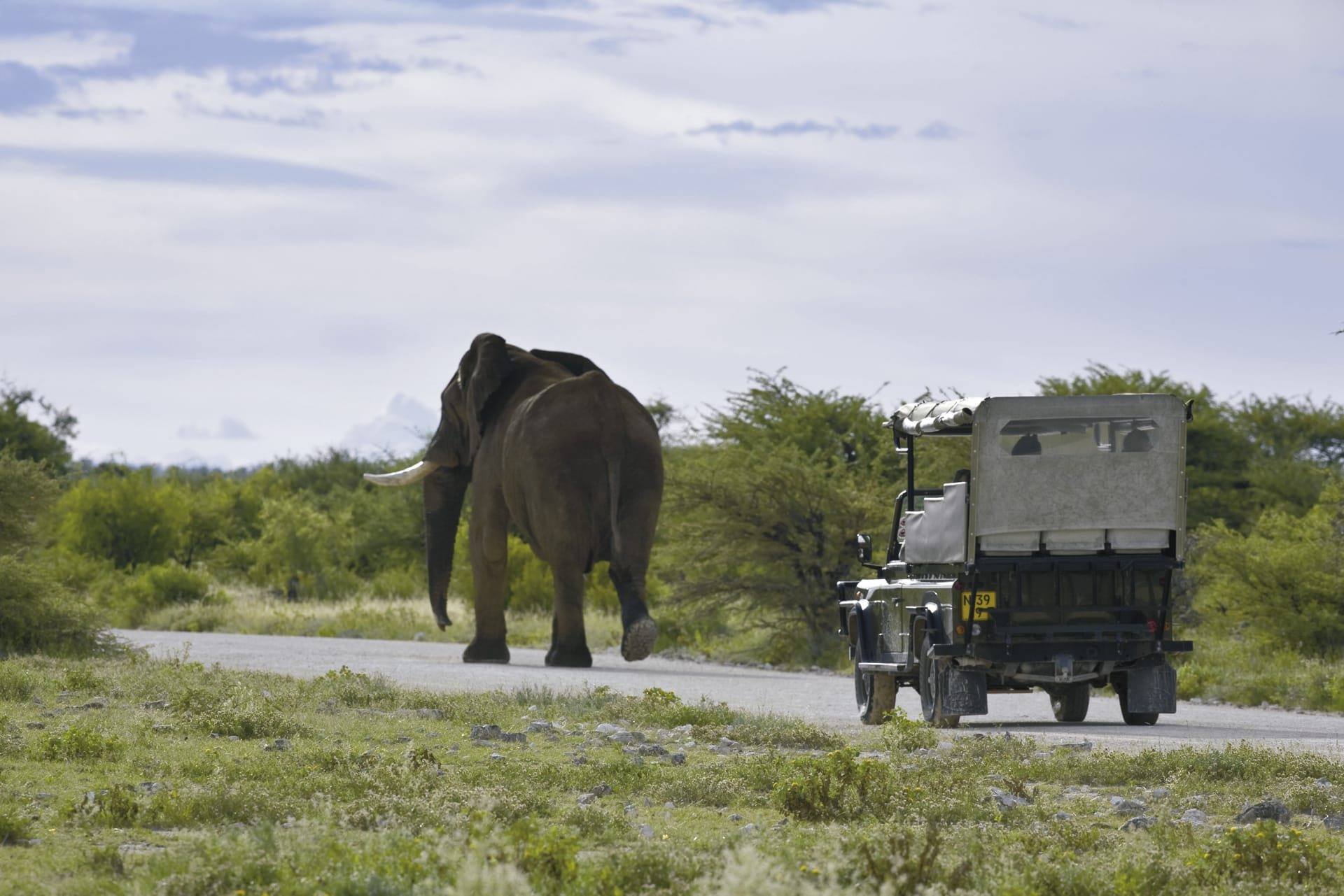 NA_REG_113_20100604_SS