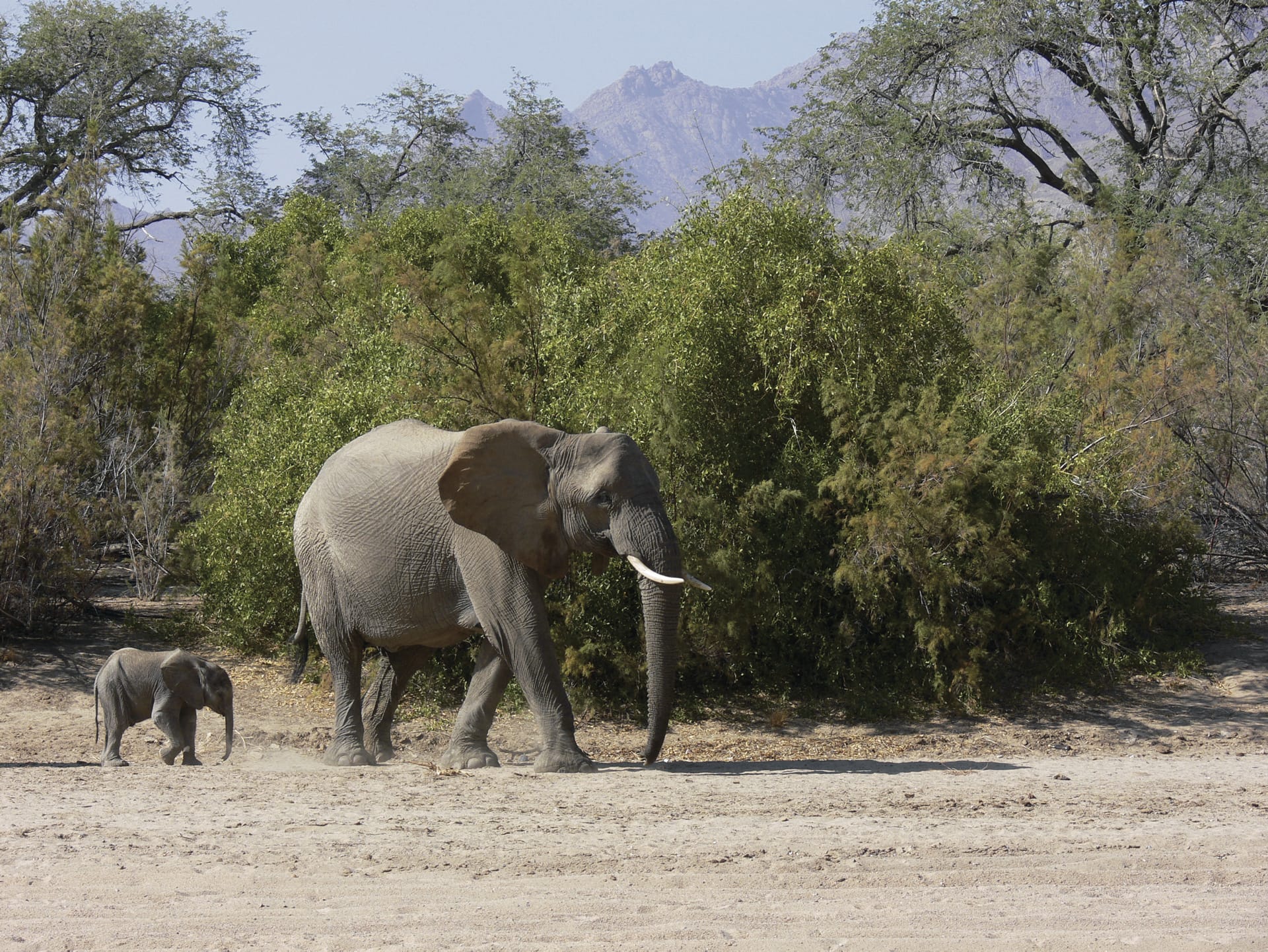 NA_REG_1196_20120810_AD