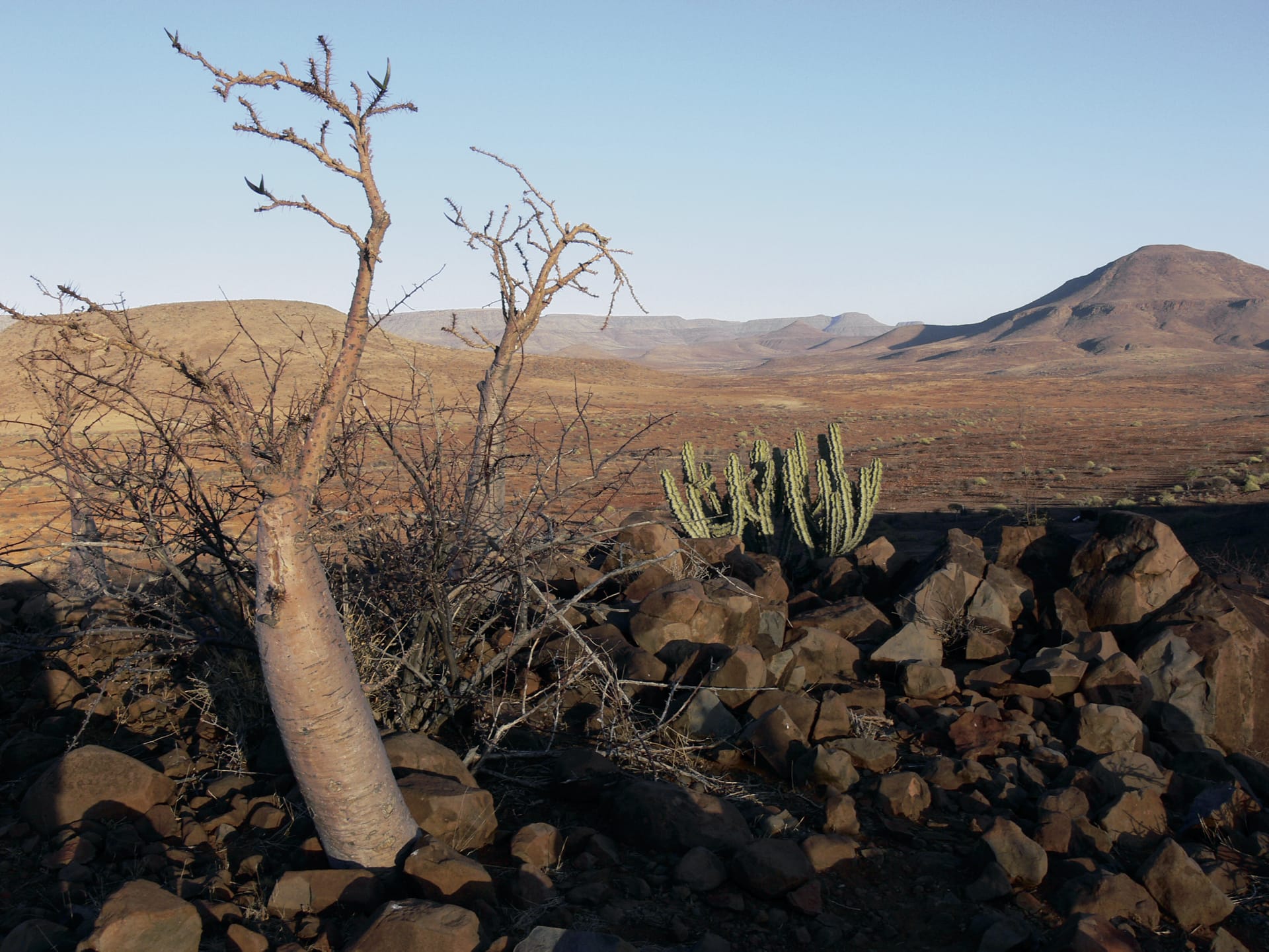 NA_REG_1197_20120810_AD