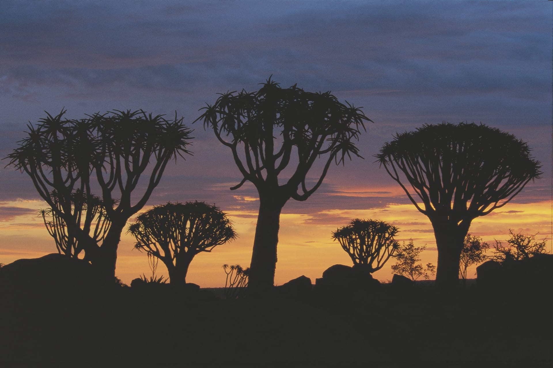 NA_REG_147_20070911_MM