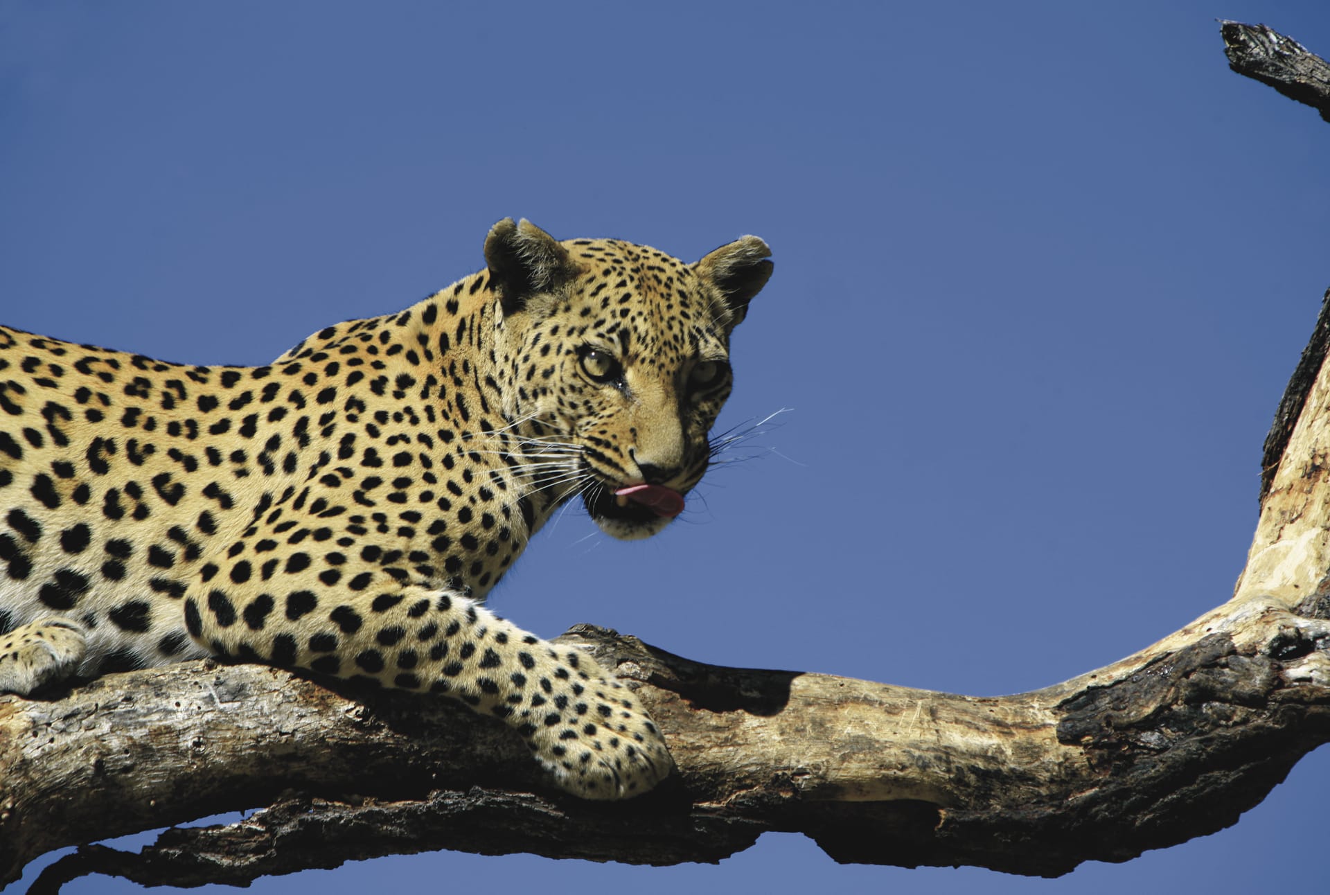 NA_REG_1484_20090617_SS