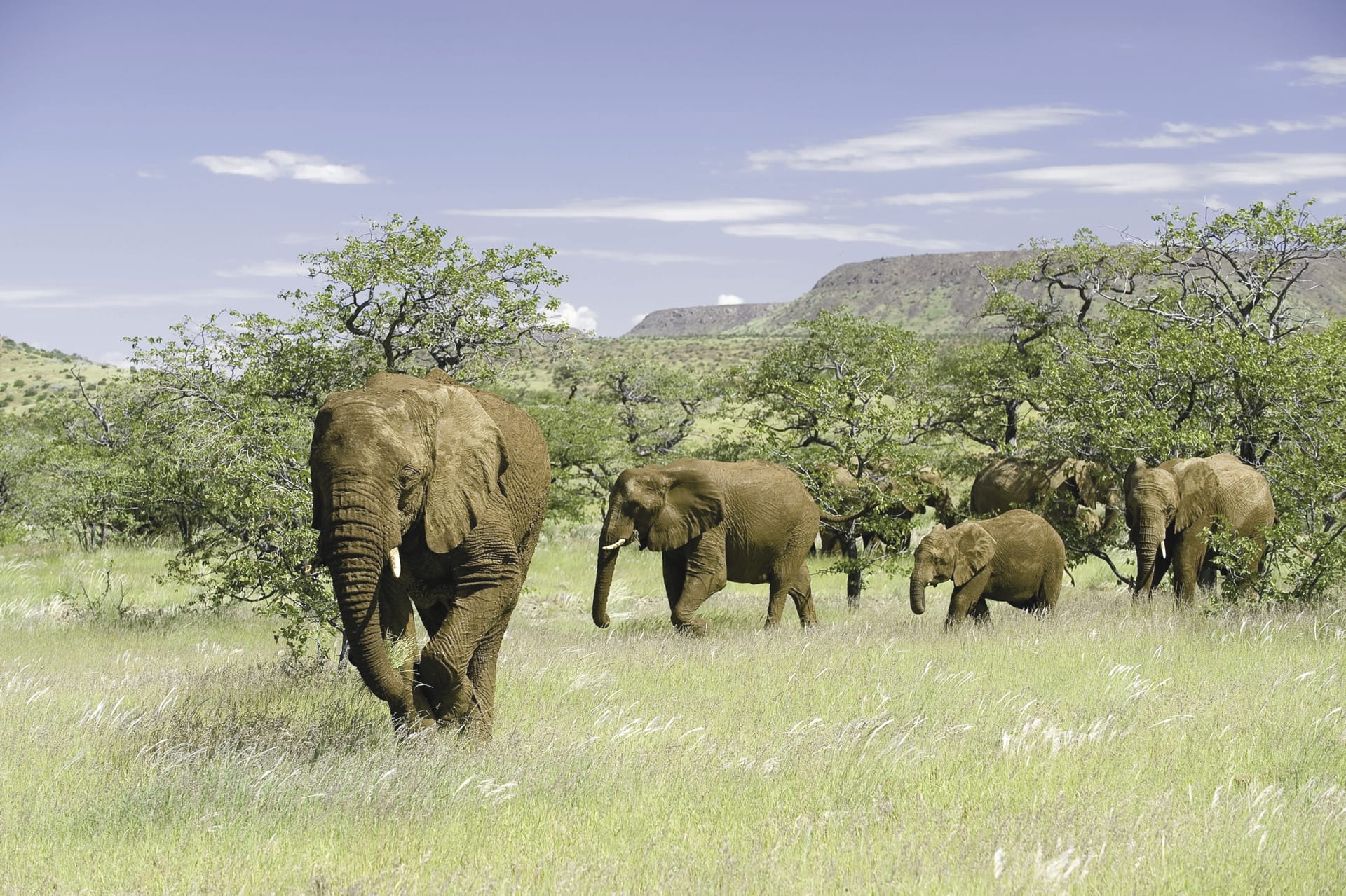 NA_REG_1733_20090804_SS