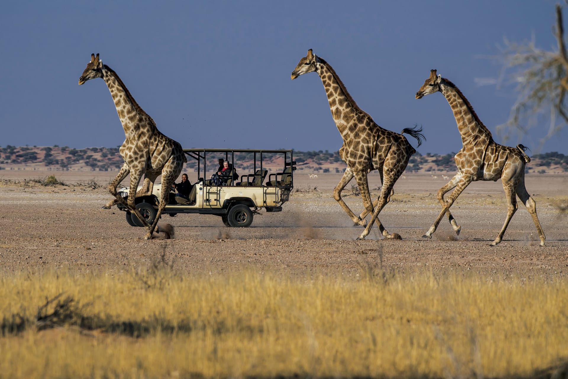 NA_REG_212_20170714_AD