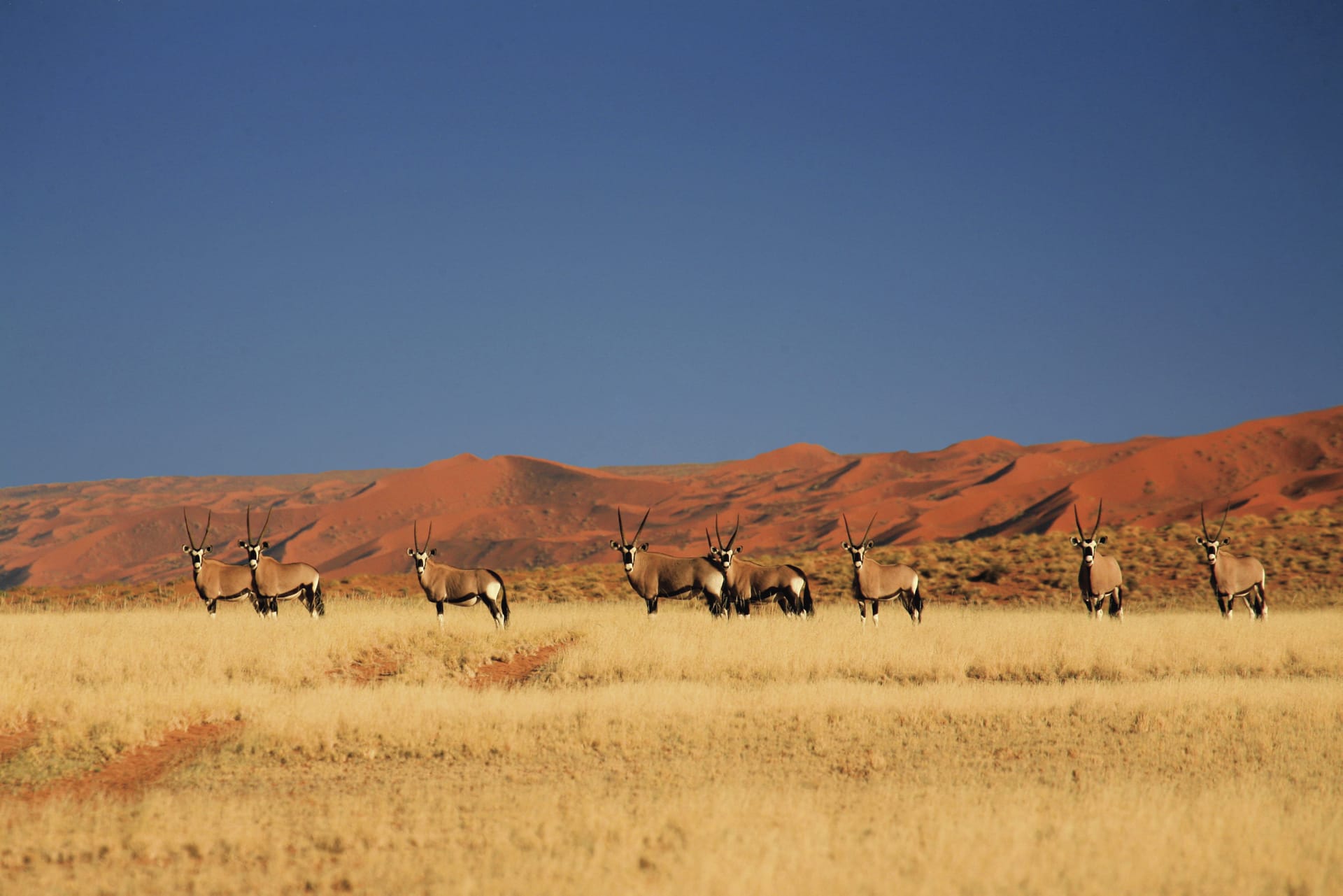 NA_REG_453_20120626_ss