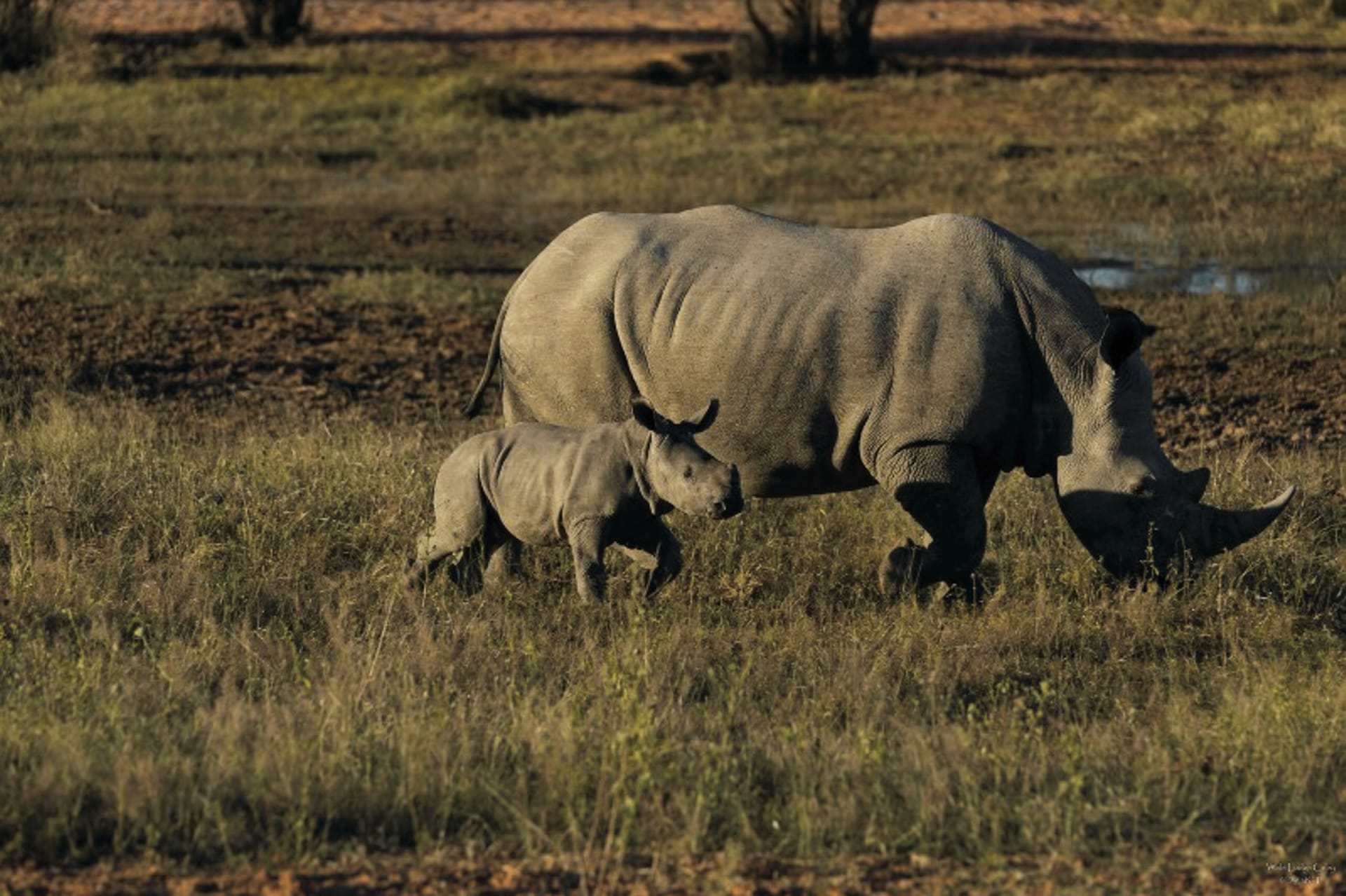 NA_REG_53_20160803_AD