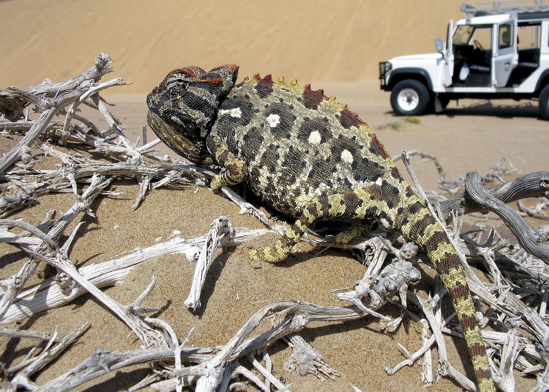 NA_REG_930_20120710_AD