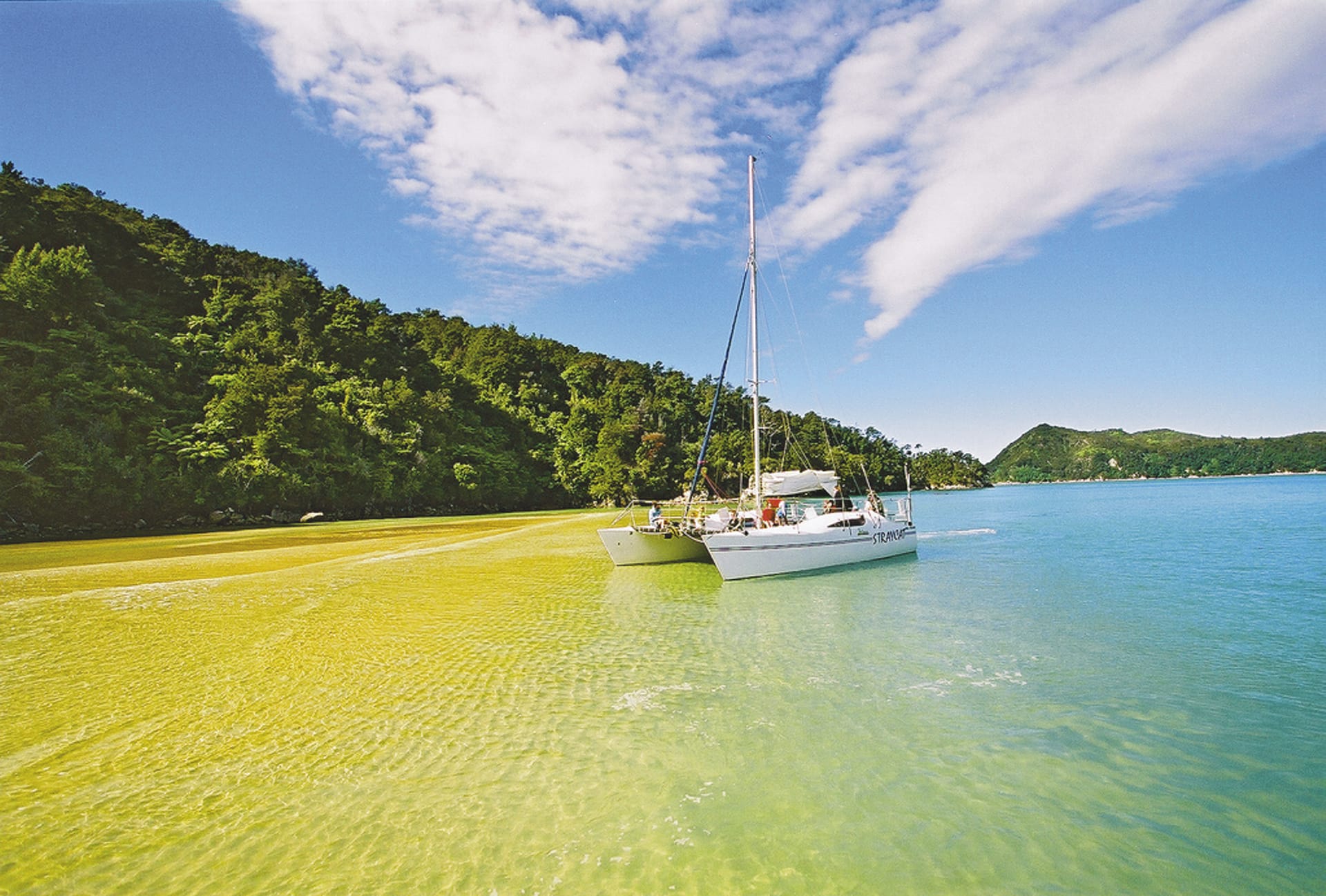 NZL_DIV_022_20100419_SS