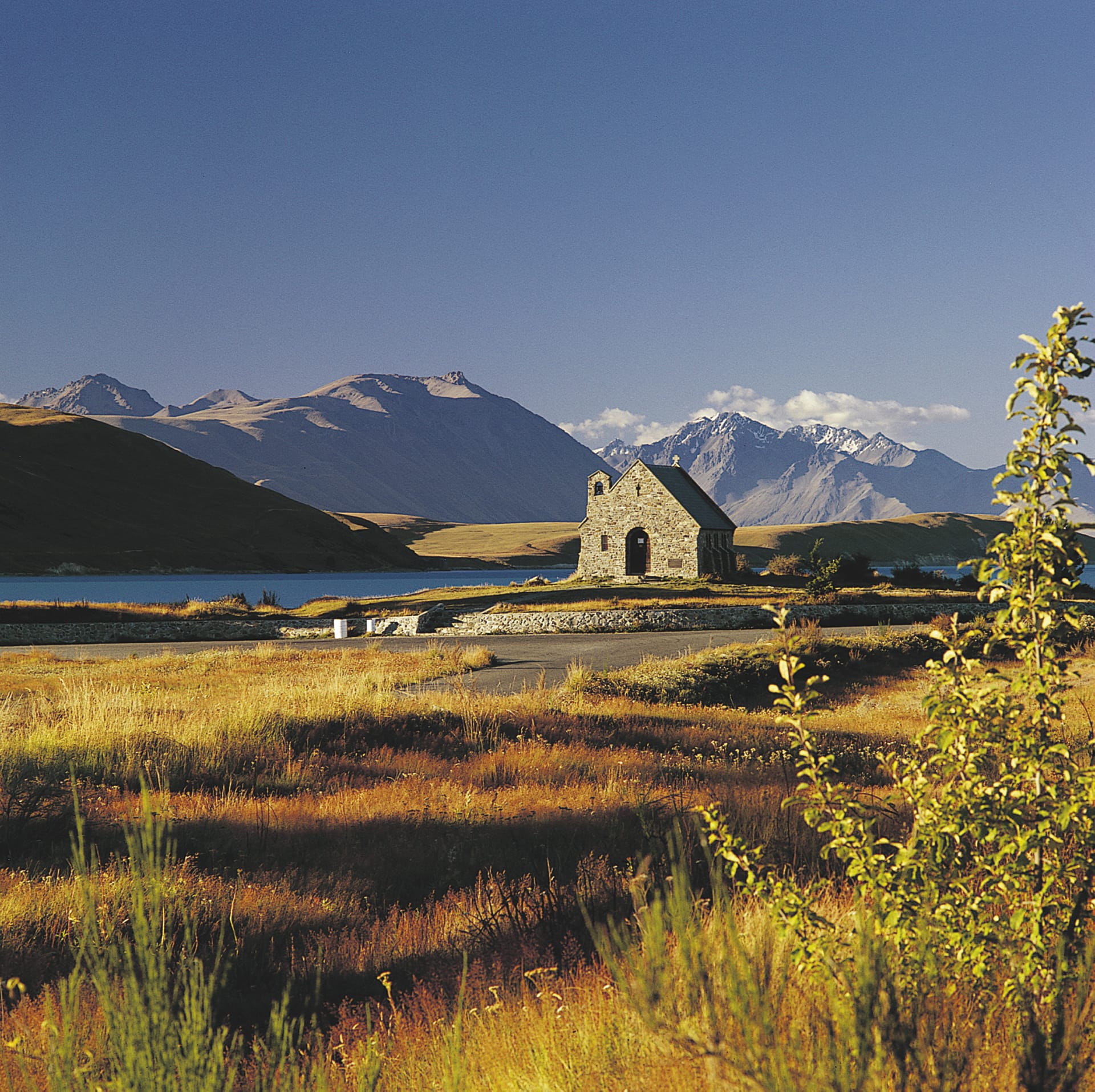 NZL_DIV_041_20100510_SS