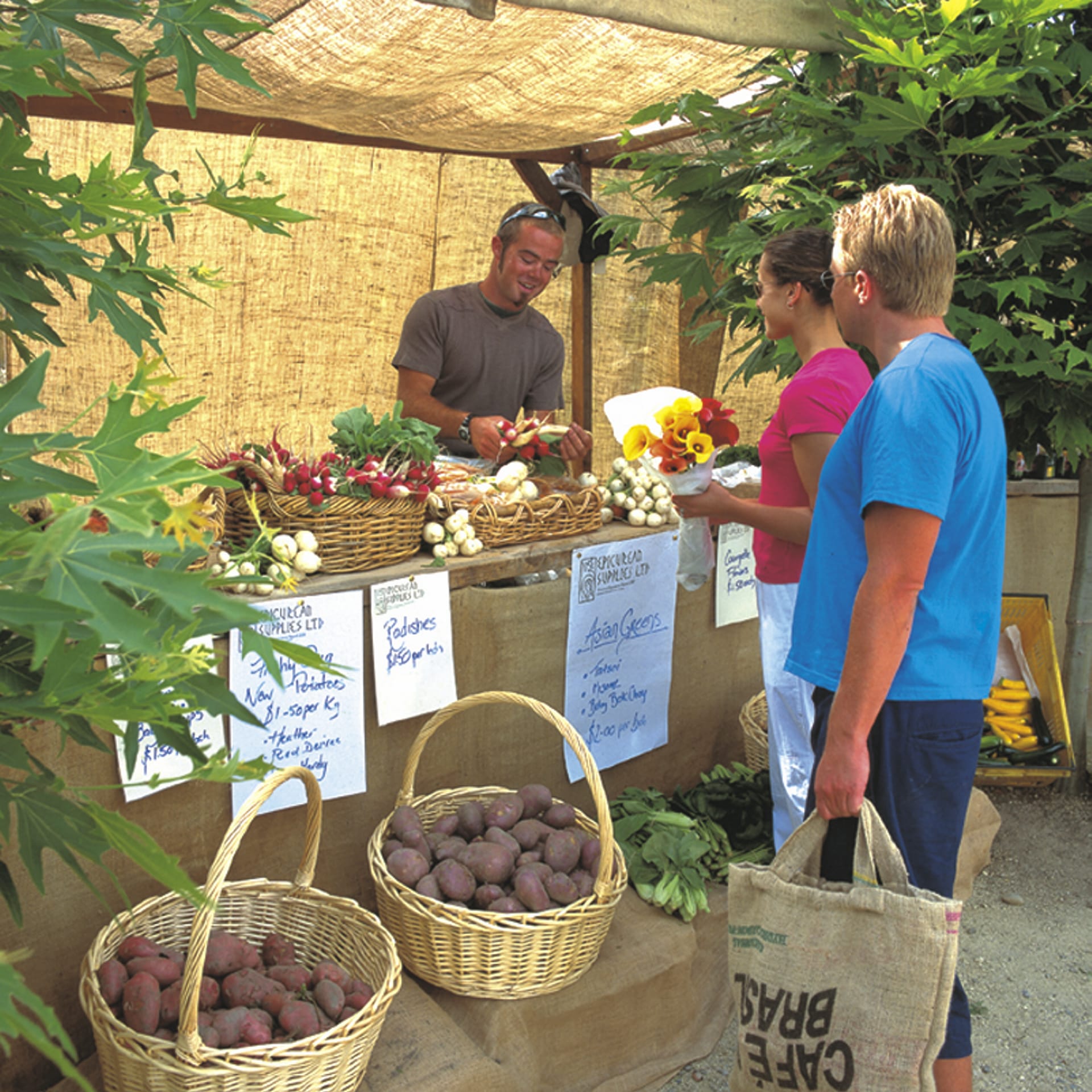 NZL_DIV_042_20071009_IVB