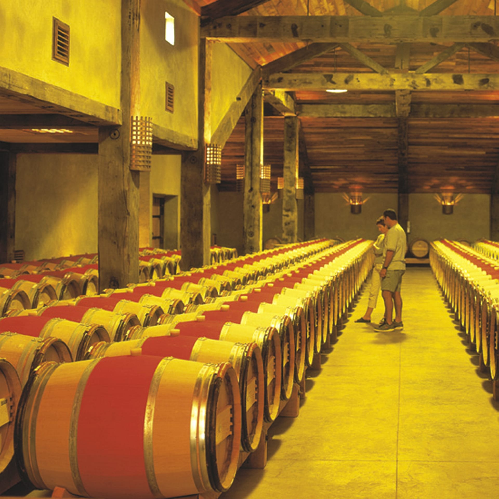 NZL_DIV_044_20071009_IVB