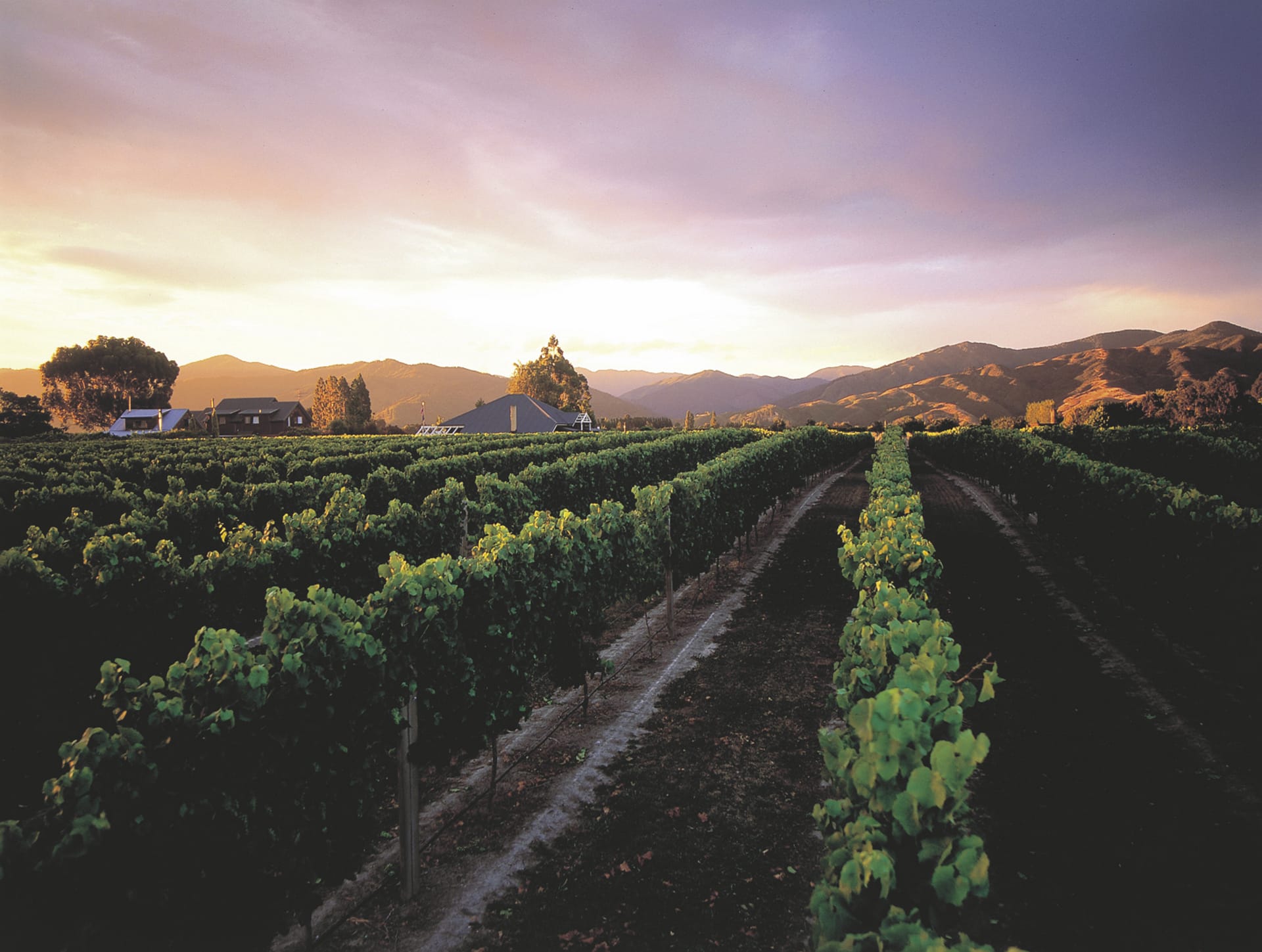 NZL_DIV_047_20071009_IVB