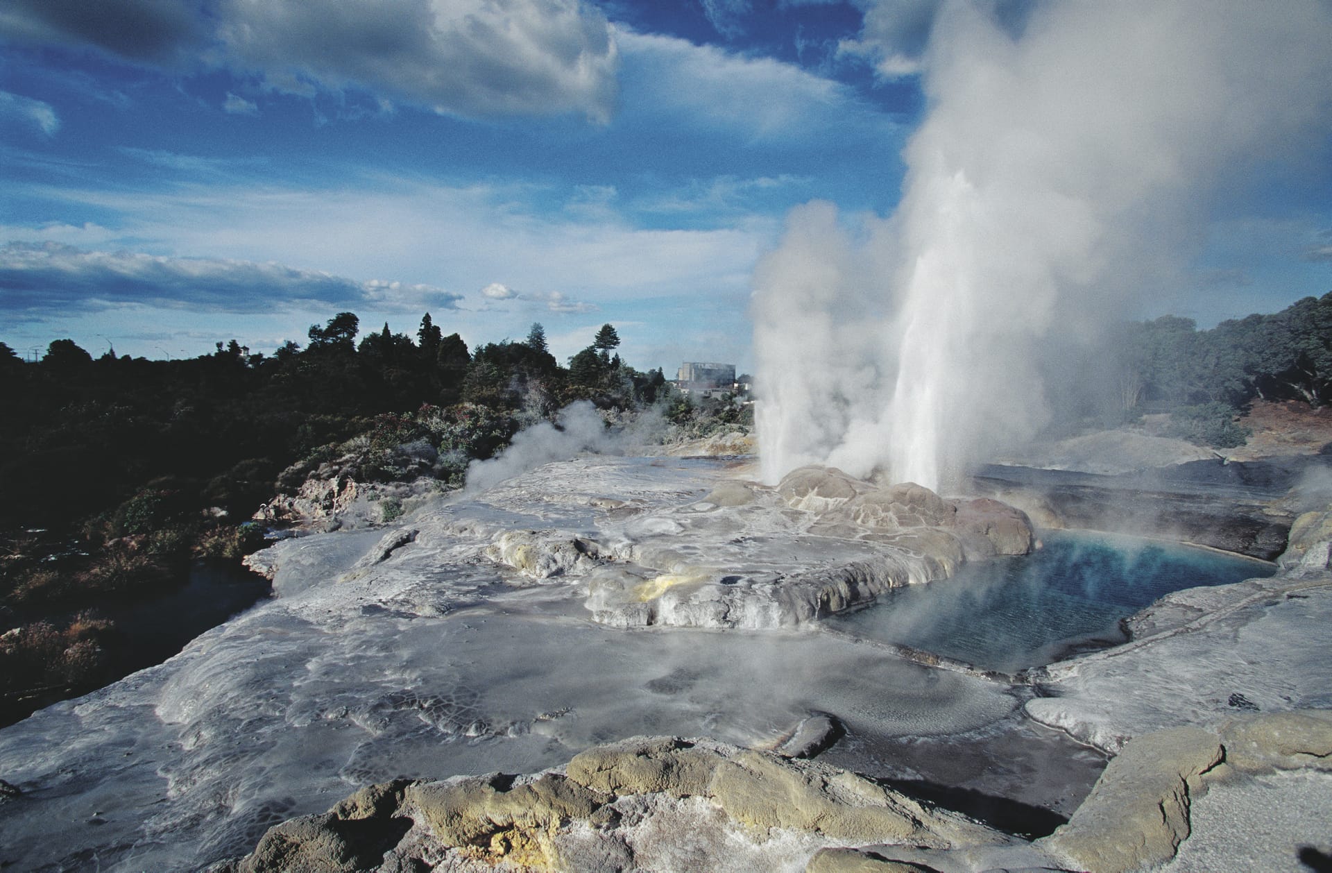 NZL_DIV_339_20090729_SS