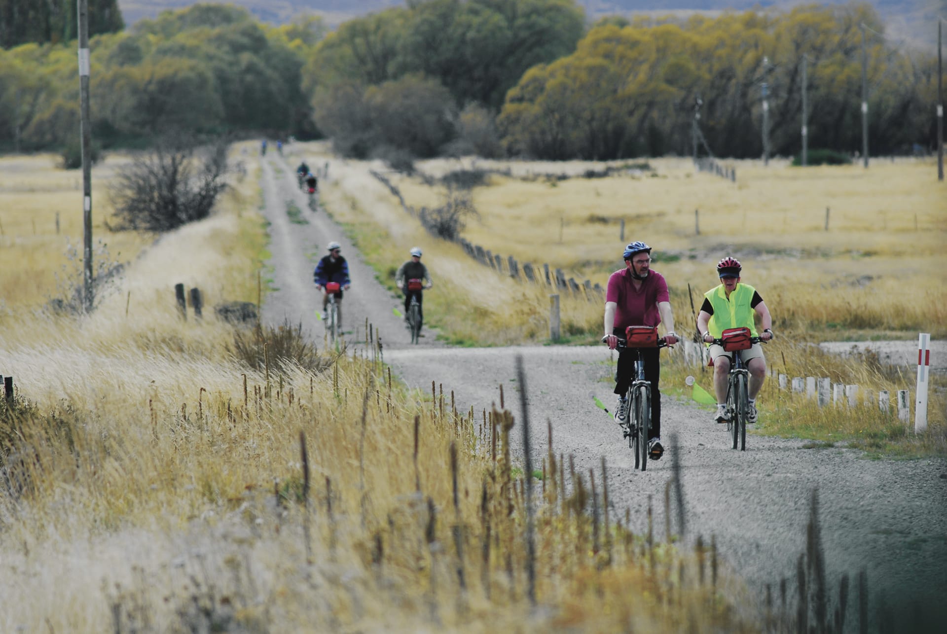 NZL_DIV_384_20090819_SS