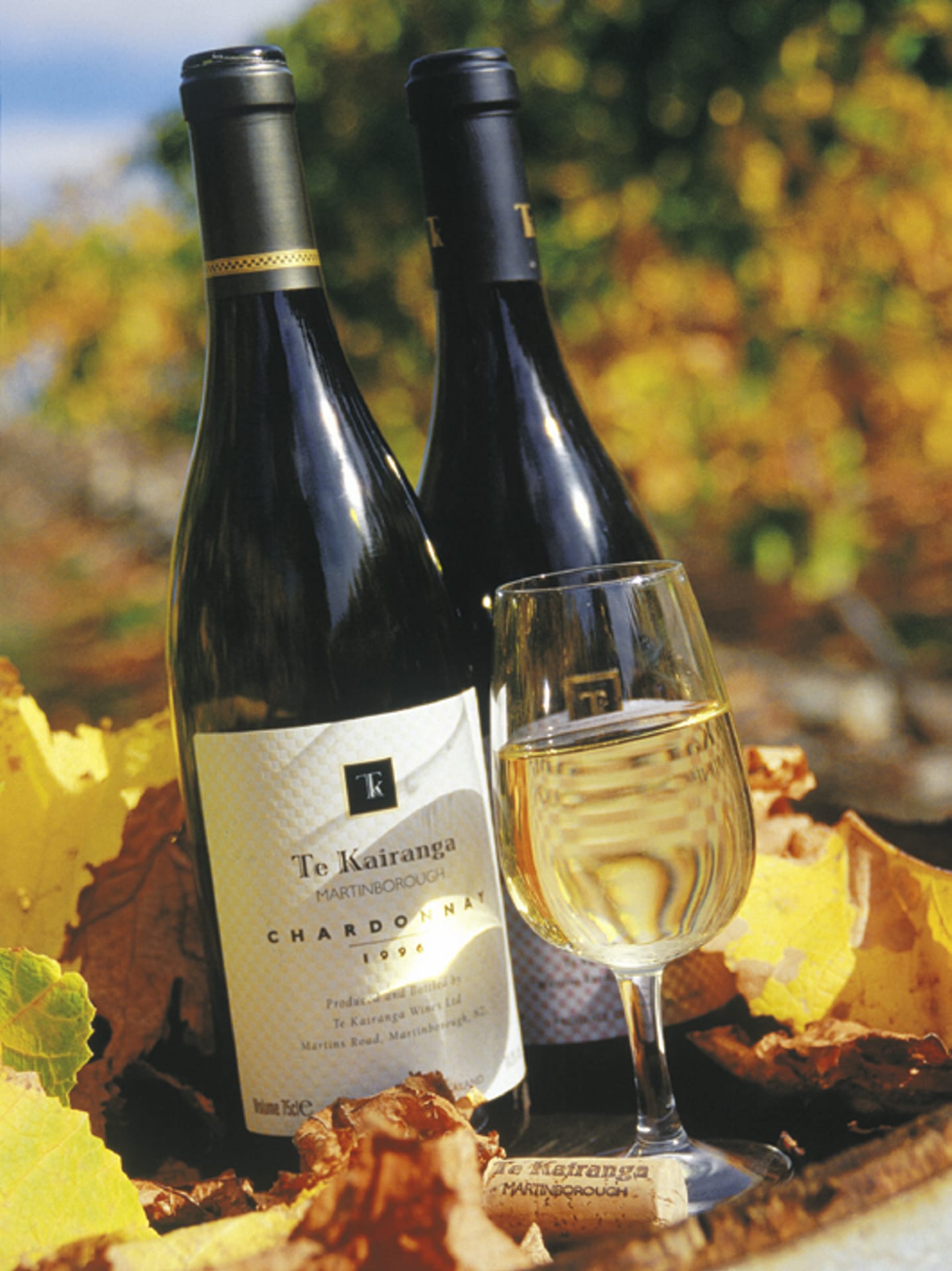 NZL_DIV_399_20090824_SS