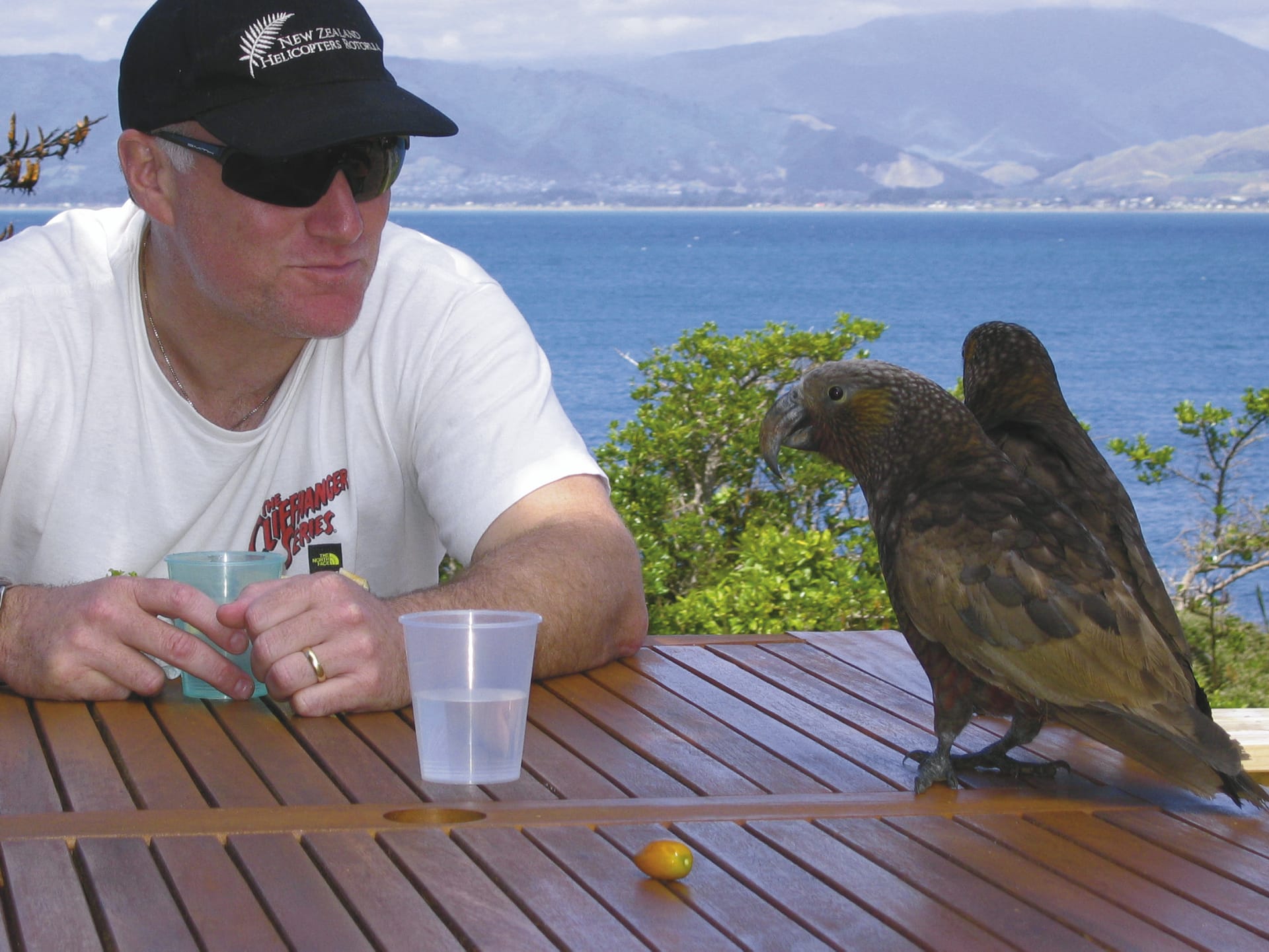 NZL_DIV_500_20090916_SS