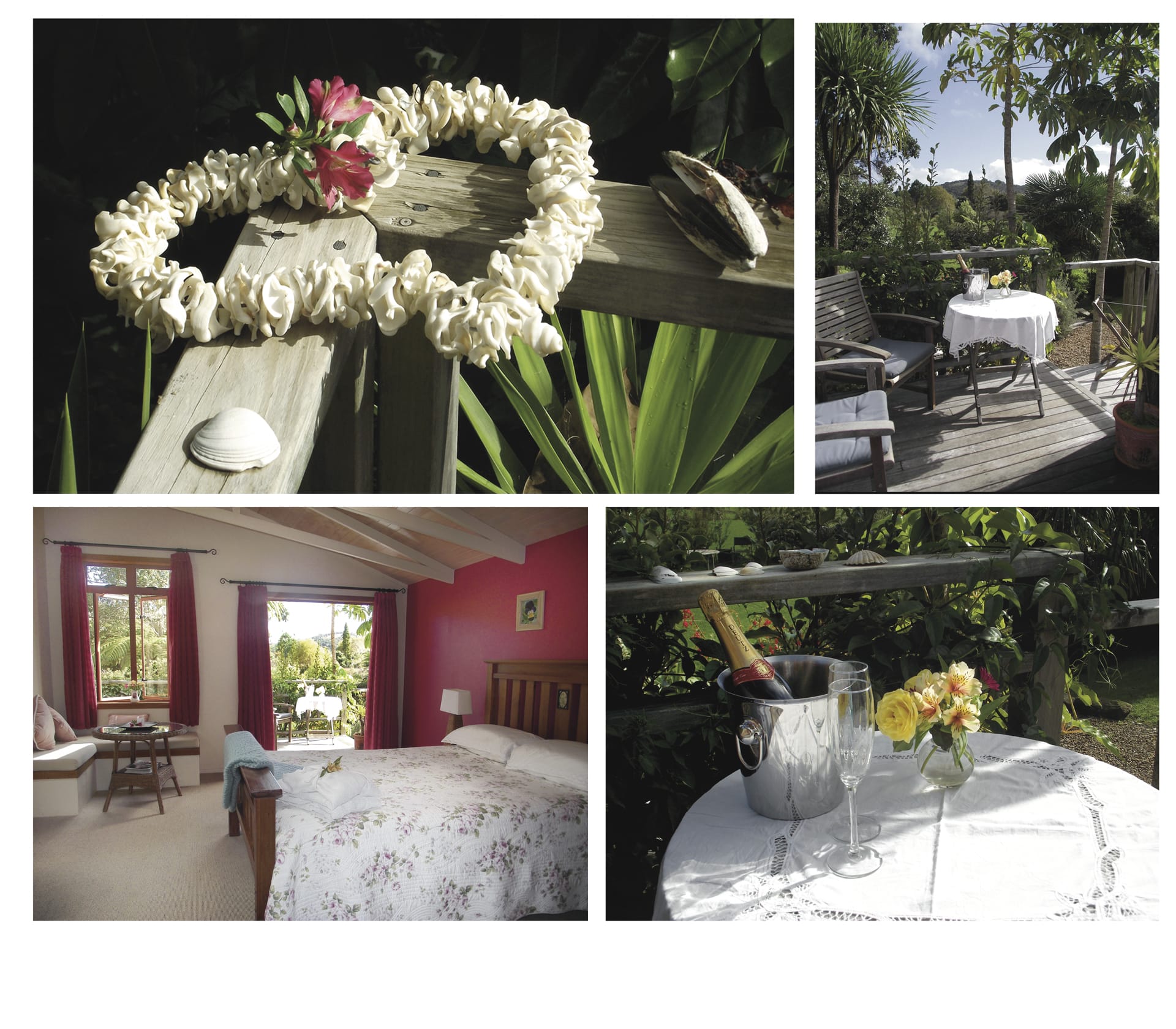 NZL_NIS_007_20110719_OL