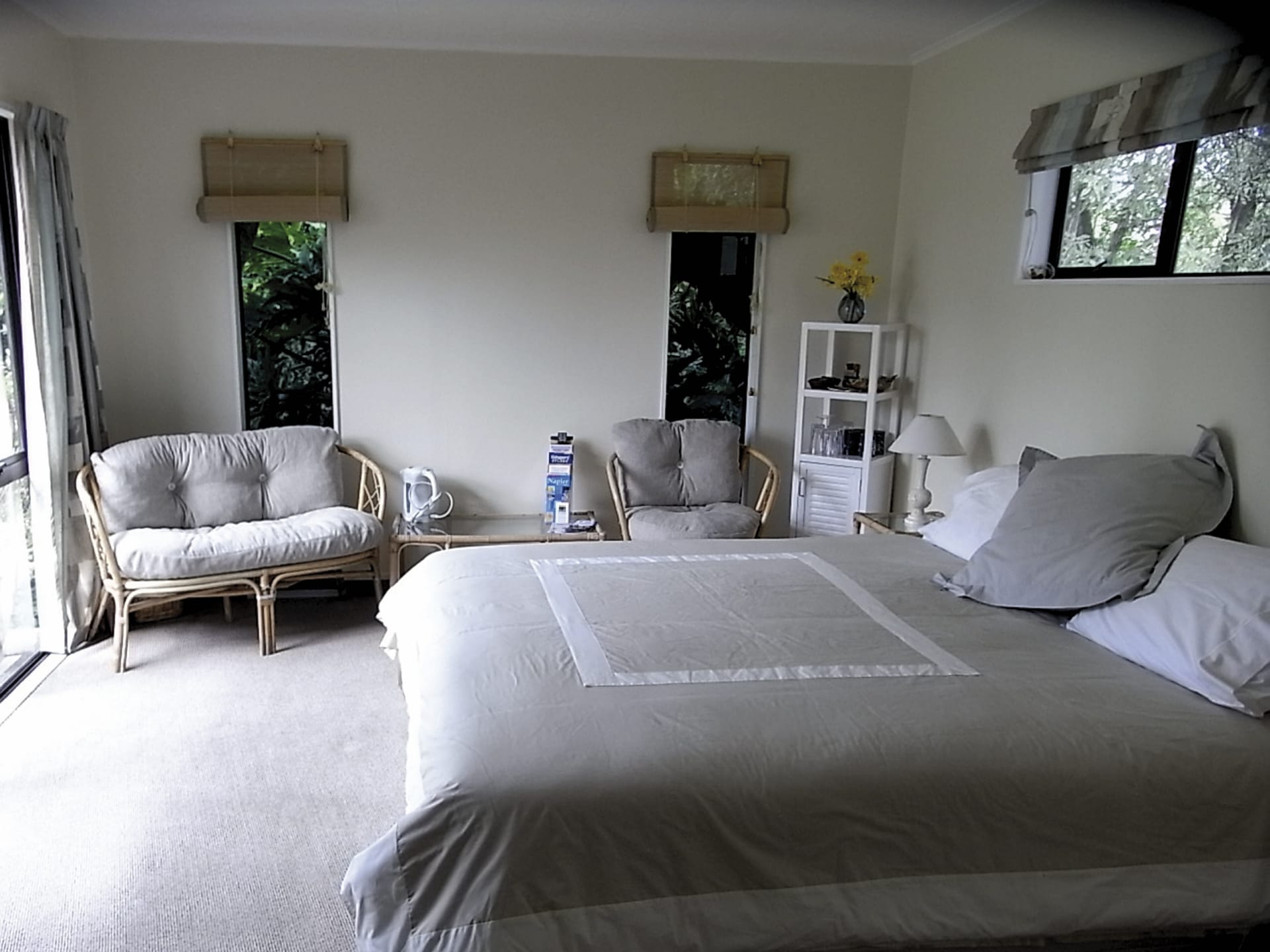 NZL_NIS_013_20130910_OL