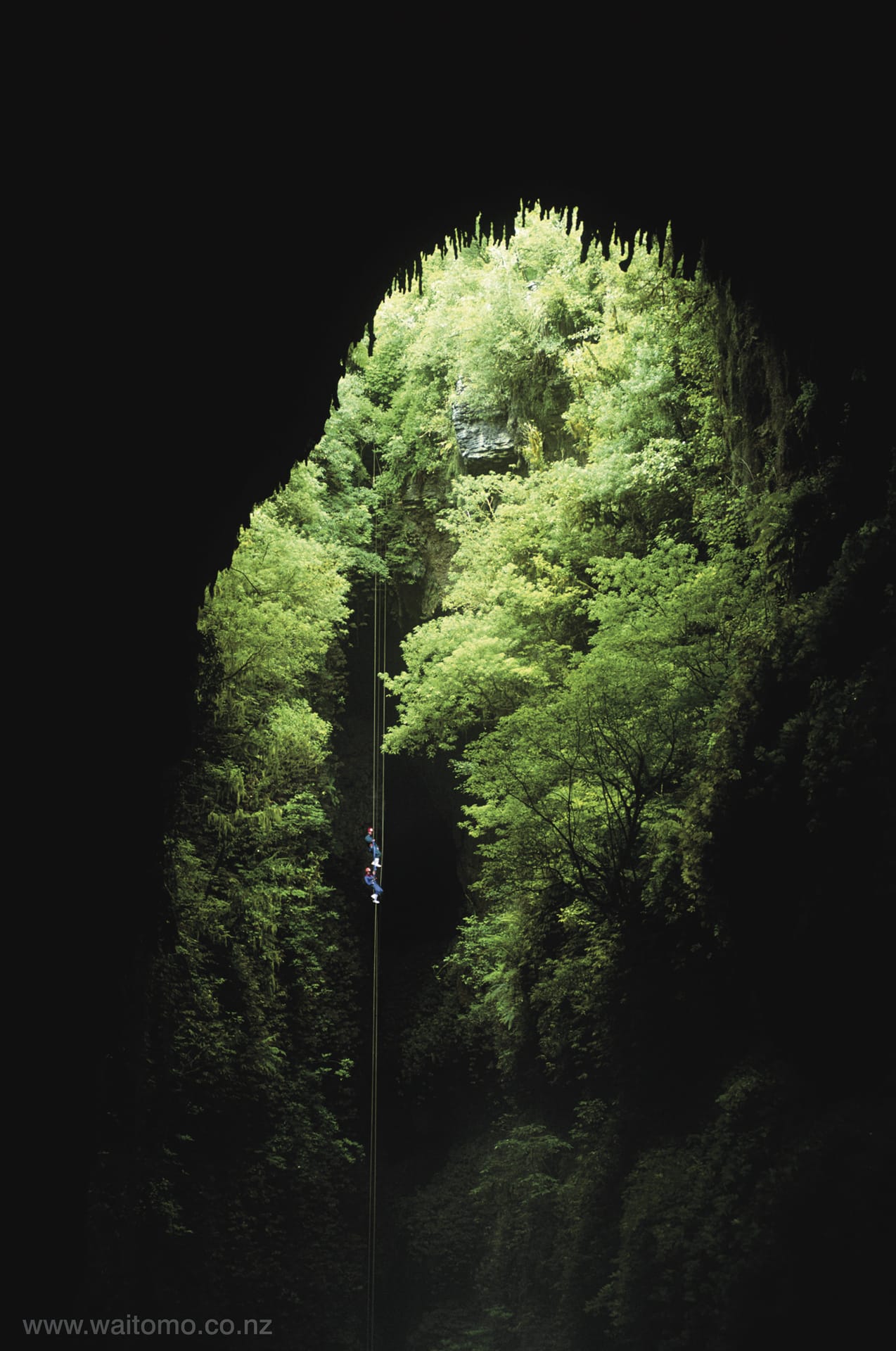 NZL_NIS_019_20140313_IvB