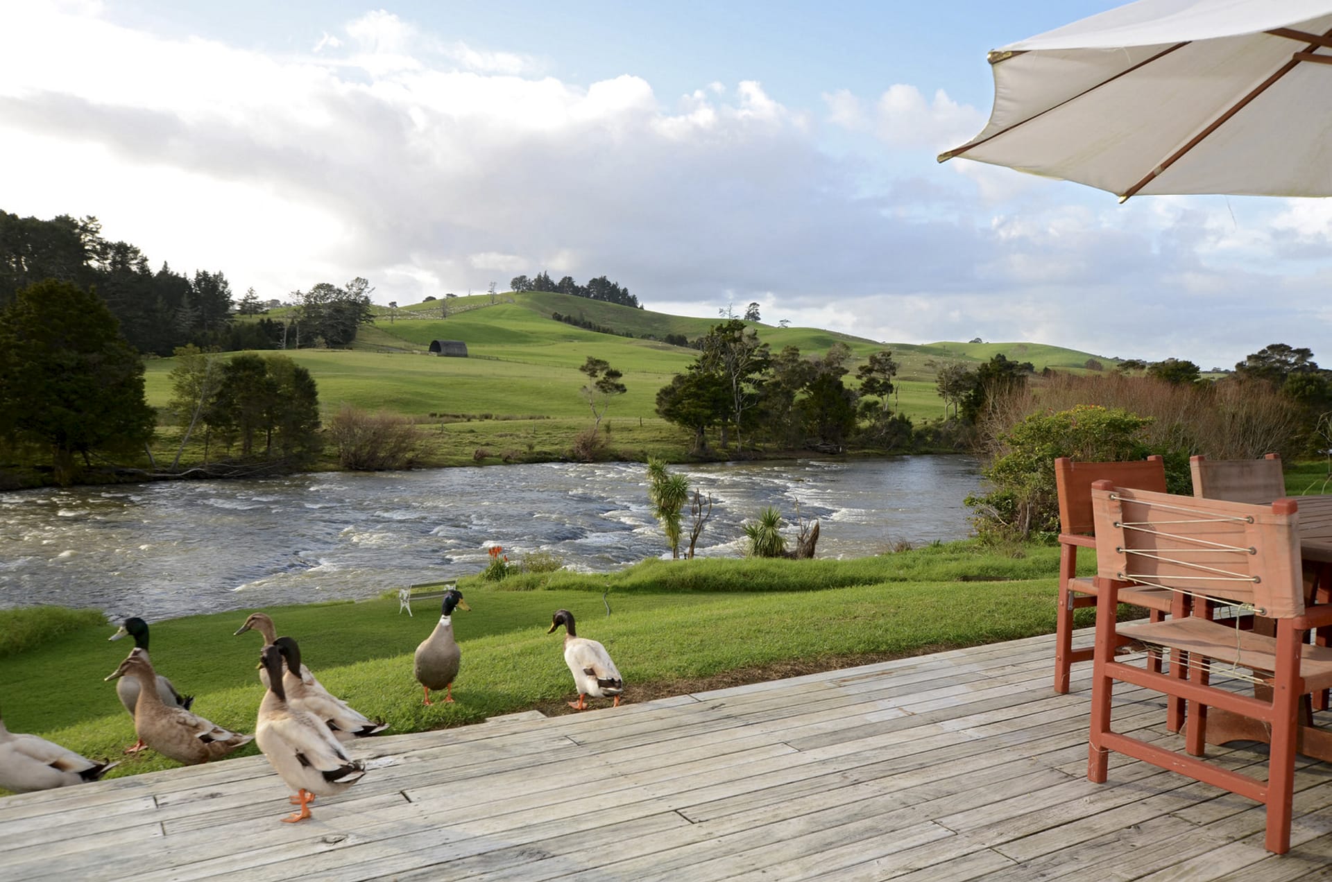 NZL_NIS_021_20140820_OL