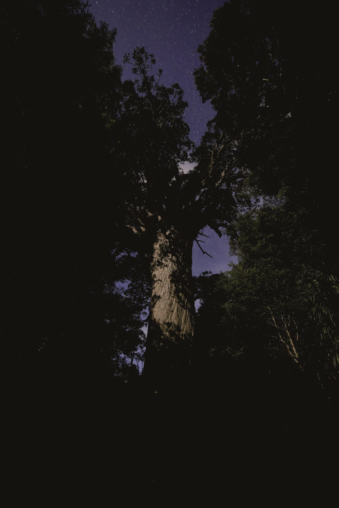 NZL_NIS_028_20170929_OL