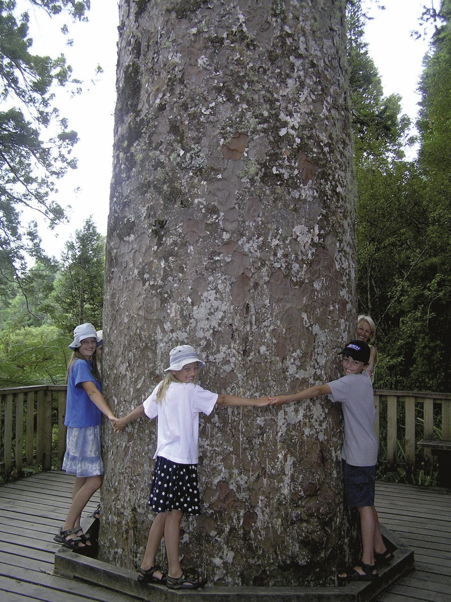 NZL_NIS_031_20170929_OL