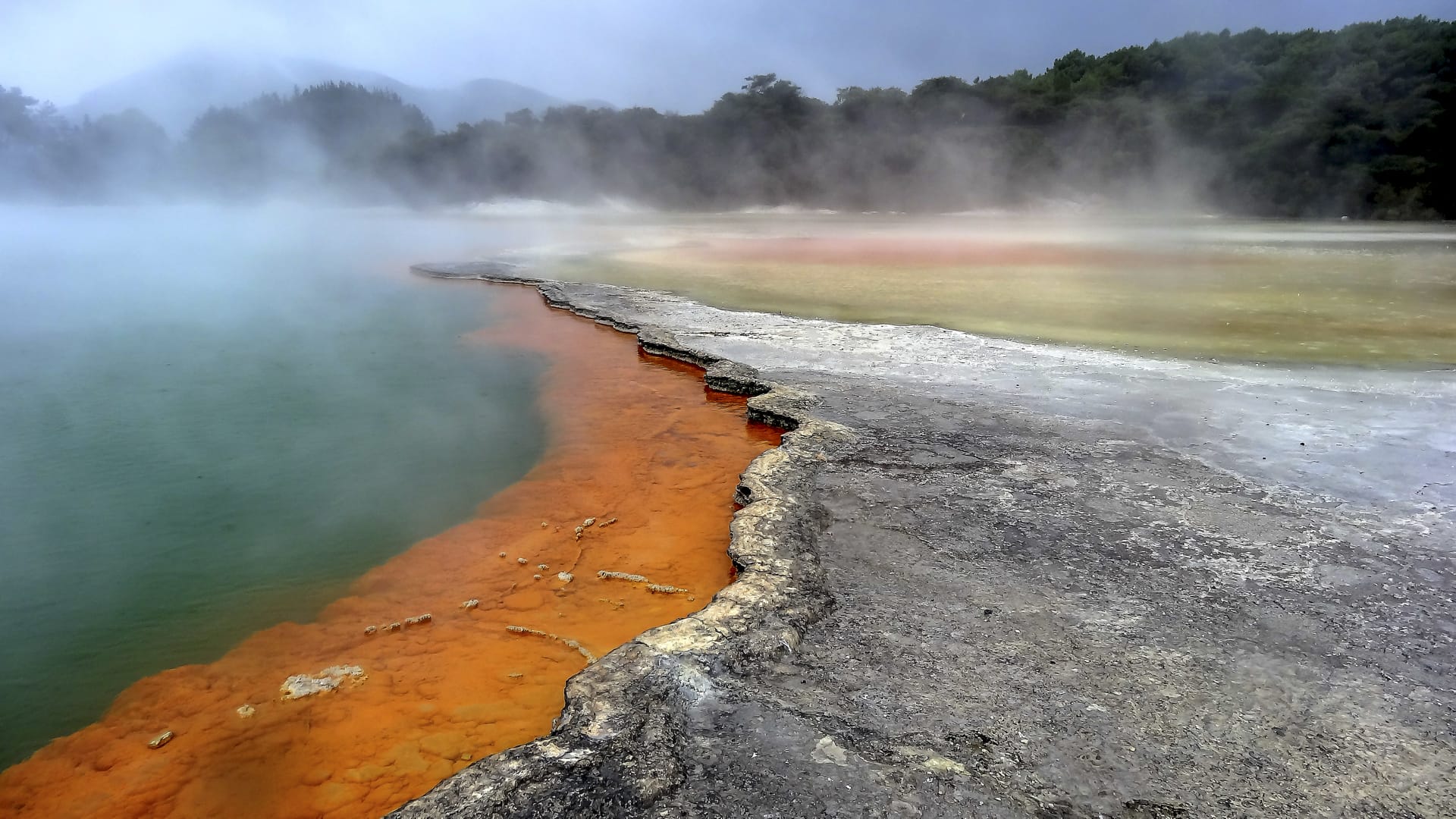 NZL_NIS_078_20140923_OL