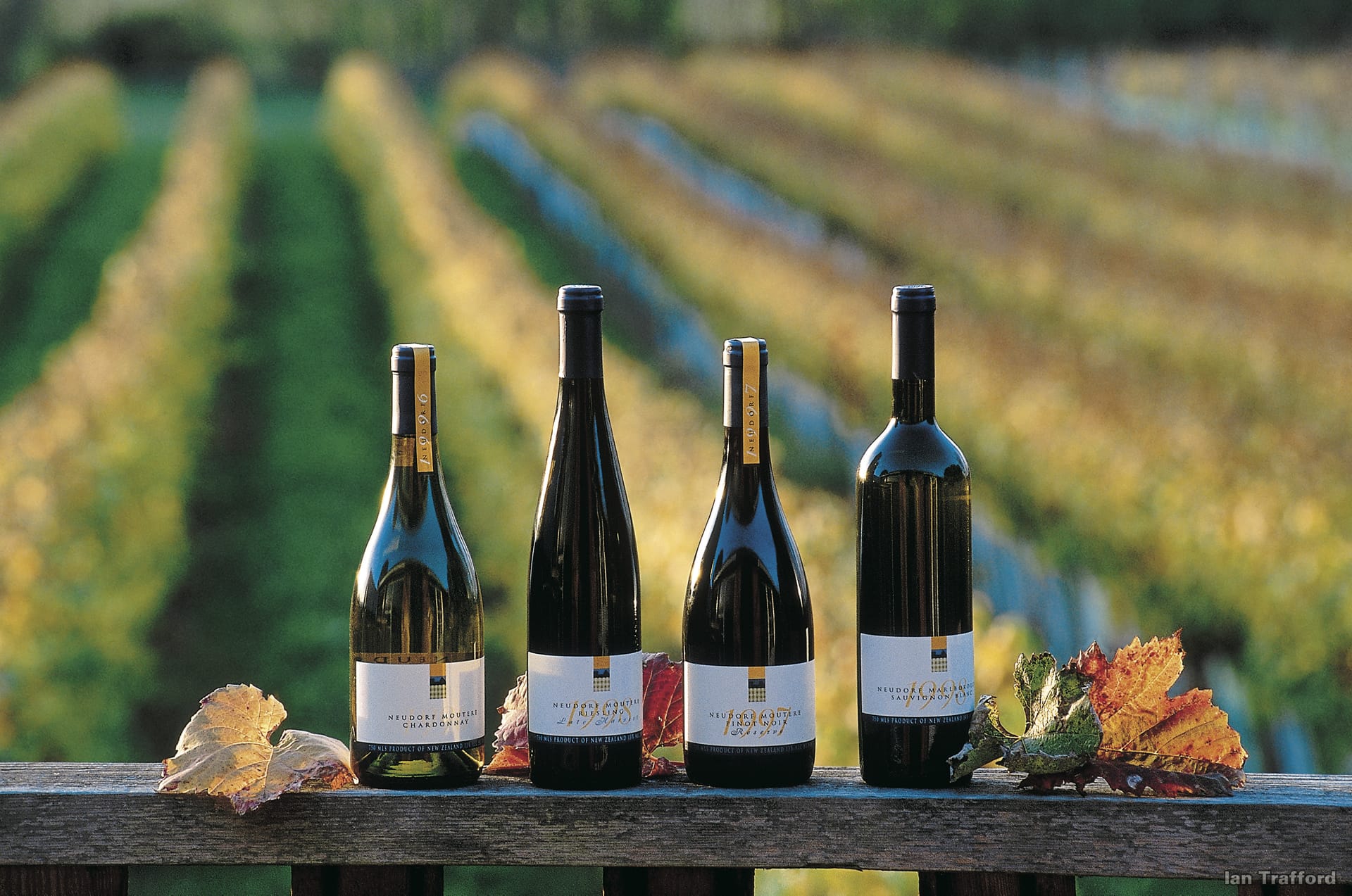 NZL_NIS_105_20120103_ss