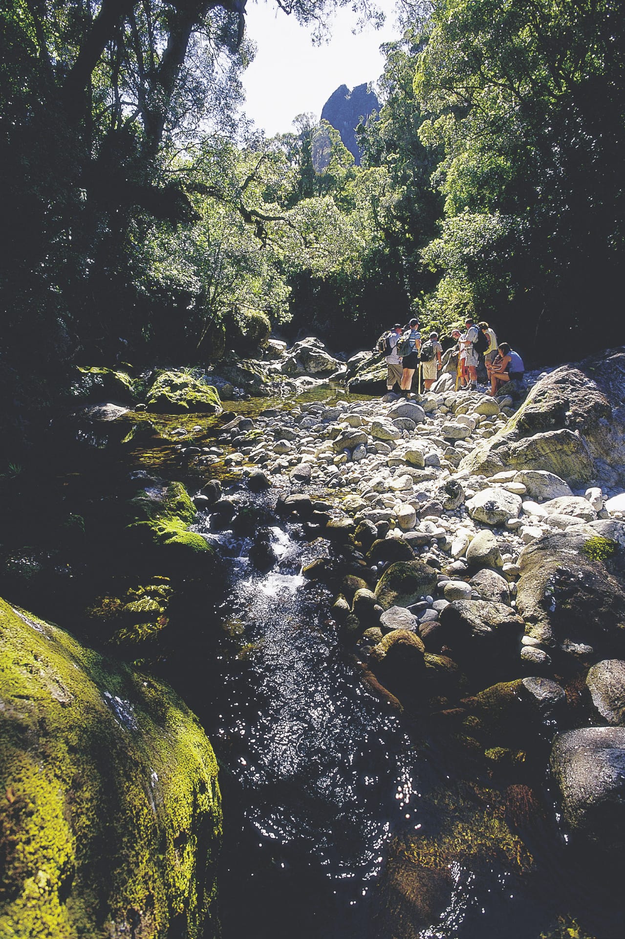 NZL_NIS_118_20071016_IVB