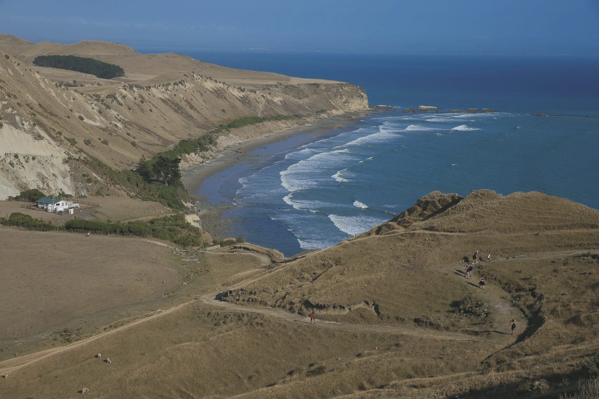 NZL_NIS_20191002_OL_5