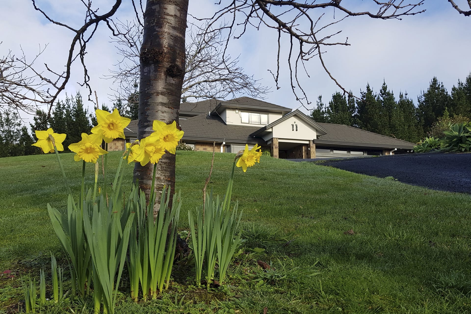 NZL_NIS_20220303_OL_3